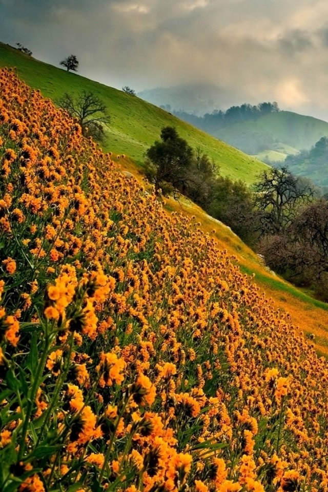 Descarga gratuita de fondo de pantalla para móvil de Montañas, Montaña, Tierra/naturaleza.