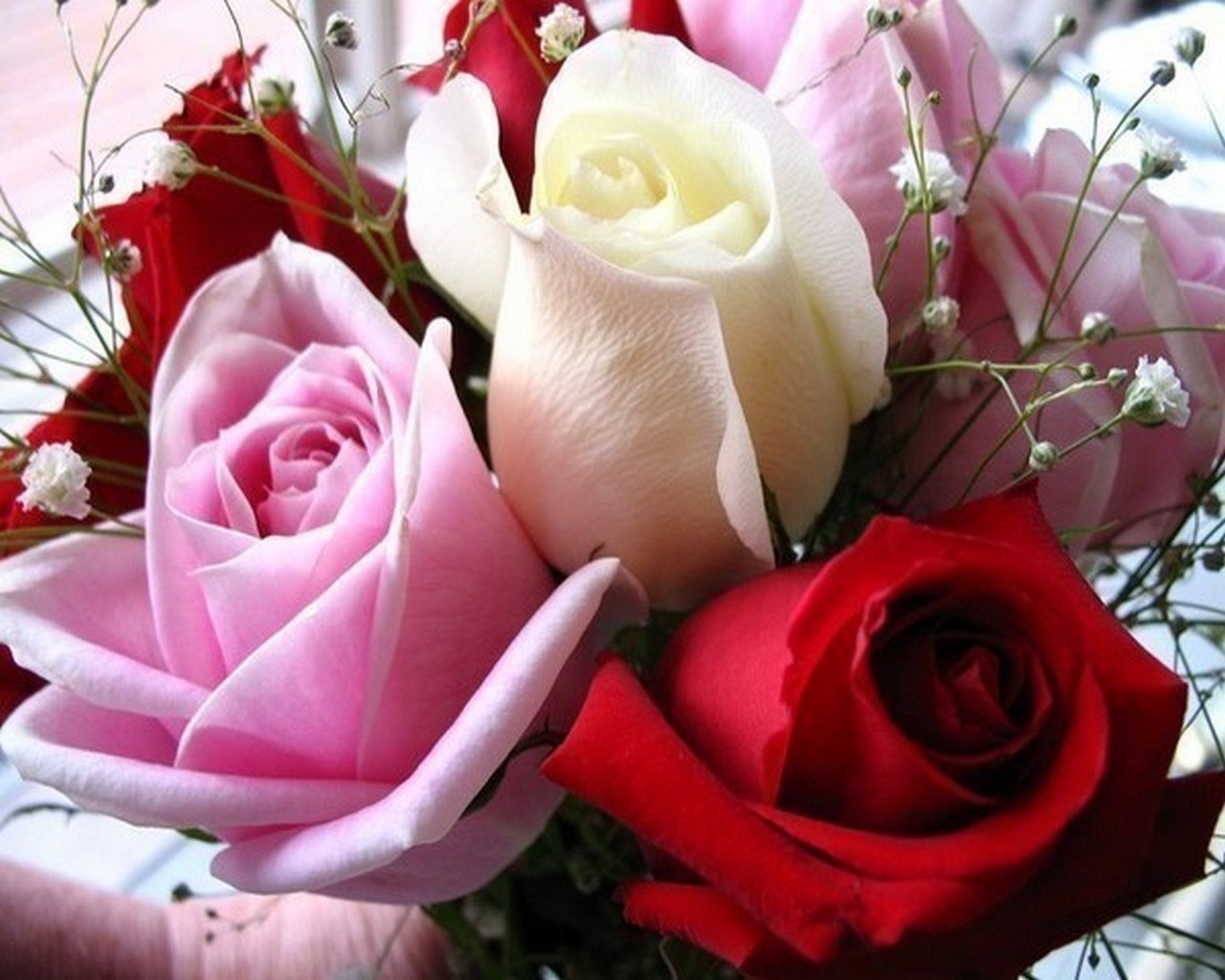 9029 завантажити шпалери 8 березня, свята, рослини, квіти, рози, листівки - заставки і картинки безкоштовно
