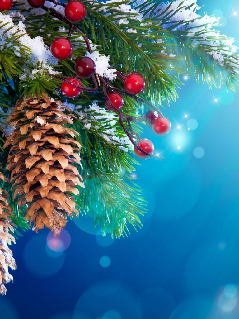 Download mobile wallpaper Christmas, Holiday, Berry, Pine Cone for free.