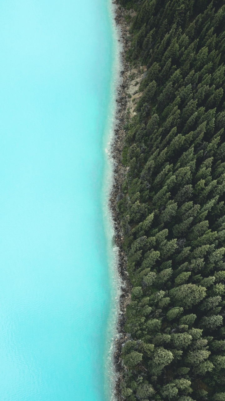 Download mobile wallpaper Forest, Earth, Coastline, Aerial for free.