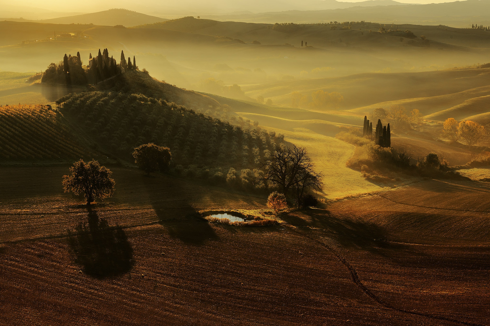 Baixe gratuitamente a imagem Paisagem, Natureza, Itália, Campo, Fotografia, Toscana, Neblina na área de trabalho do seu PC