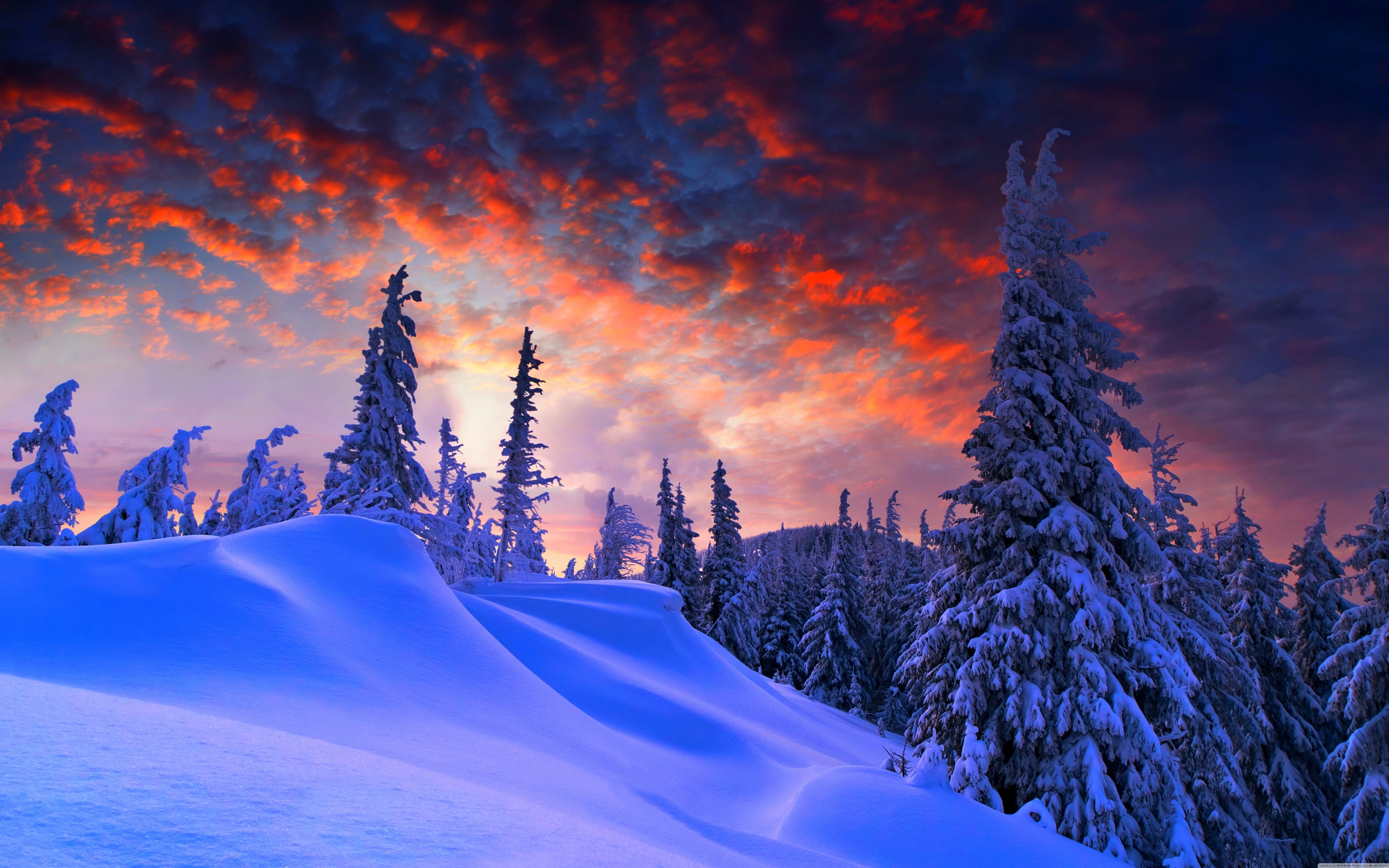 Скачать обои бесплатно Зима, Снег, Дерево, Вечер, Земля/природа картинка на рабочий стол ПК