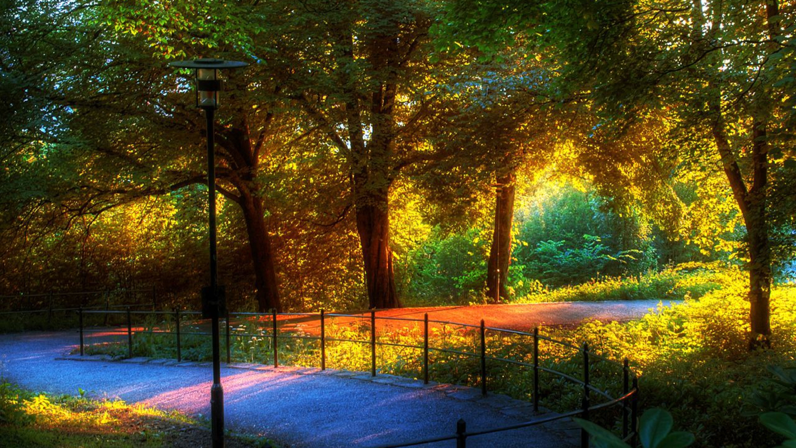 Download mobile wallpaper Park, Tree, Path, Fence, Photography for free.
