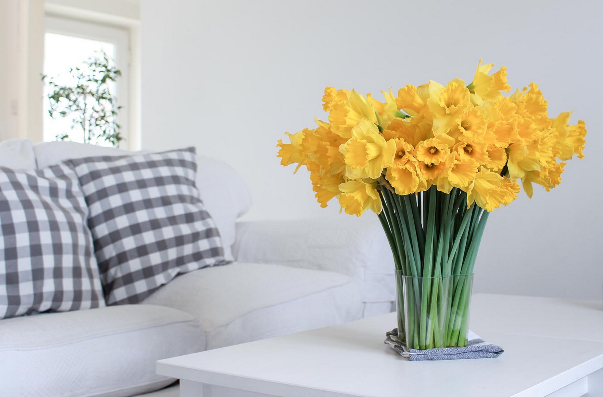 Laden Sie das Narzissen, Blume, Strauß, Sofa, Gelbe Blume, Menschengemacht-Bild kostenlos auf Ihren PC-Desktop herunter