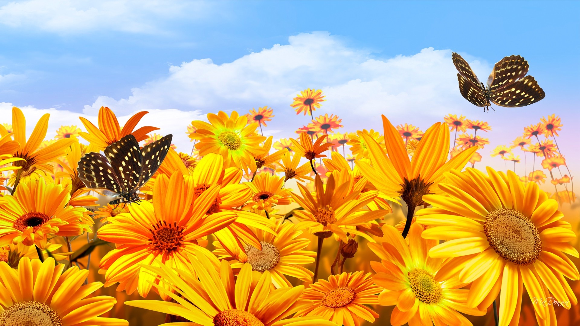 Téléchargez gratuitement l'image Fleurs, Fleur, Papillon, Artistique, Tournesol, Fleur Jaune sur le bureau de votre PC