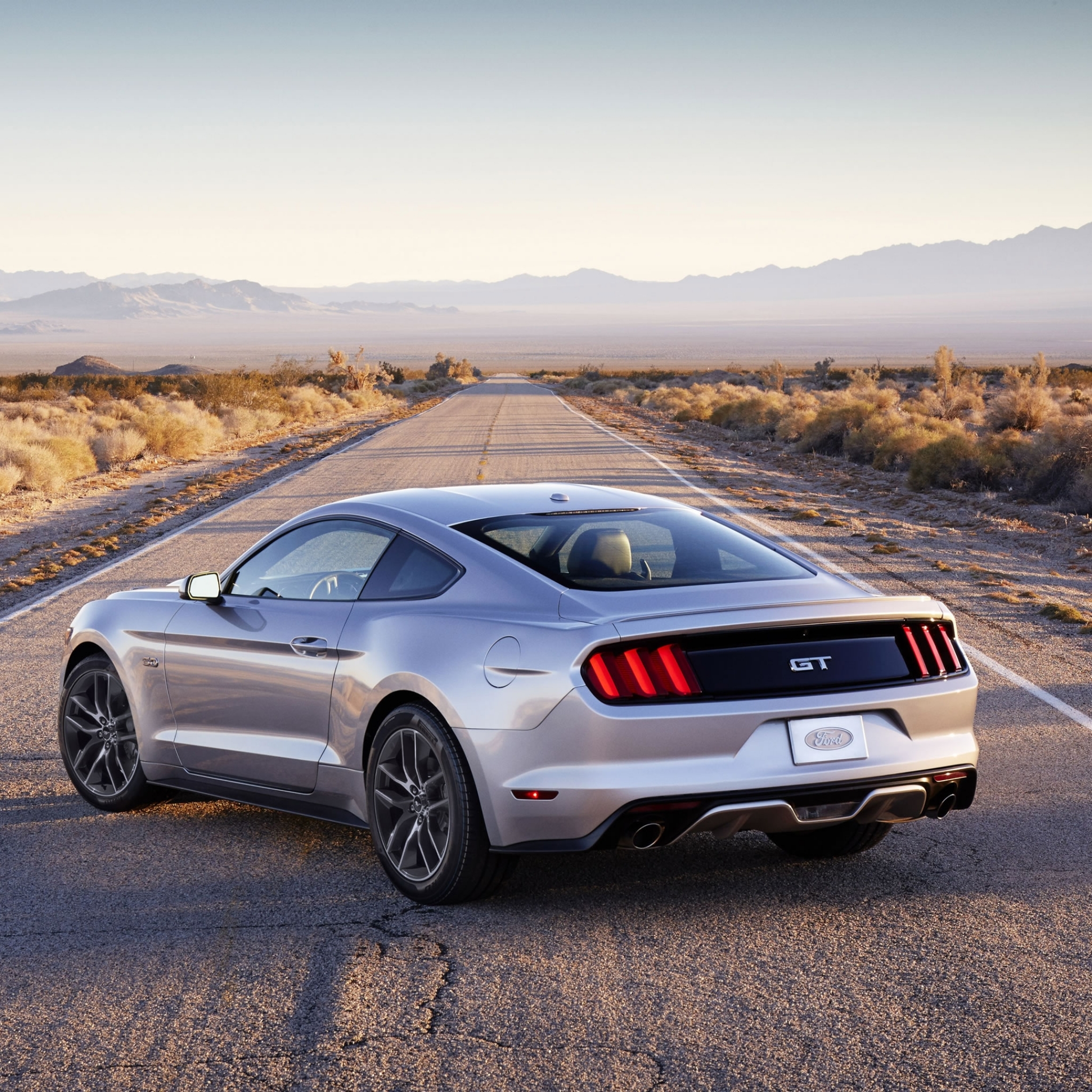 vehicles, 2015 ford mustang gt, road, silver car, desert, ford, ford mustang, car