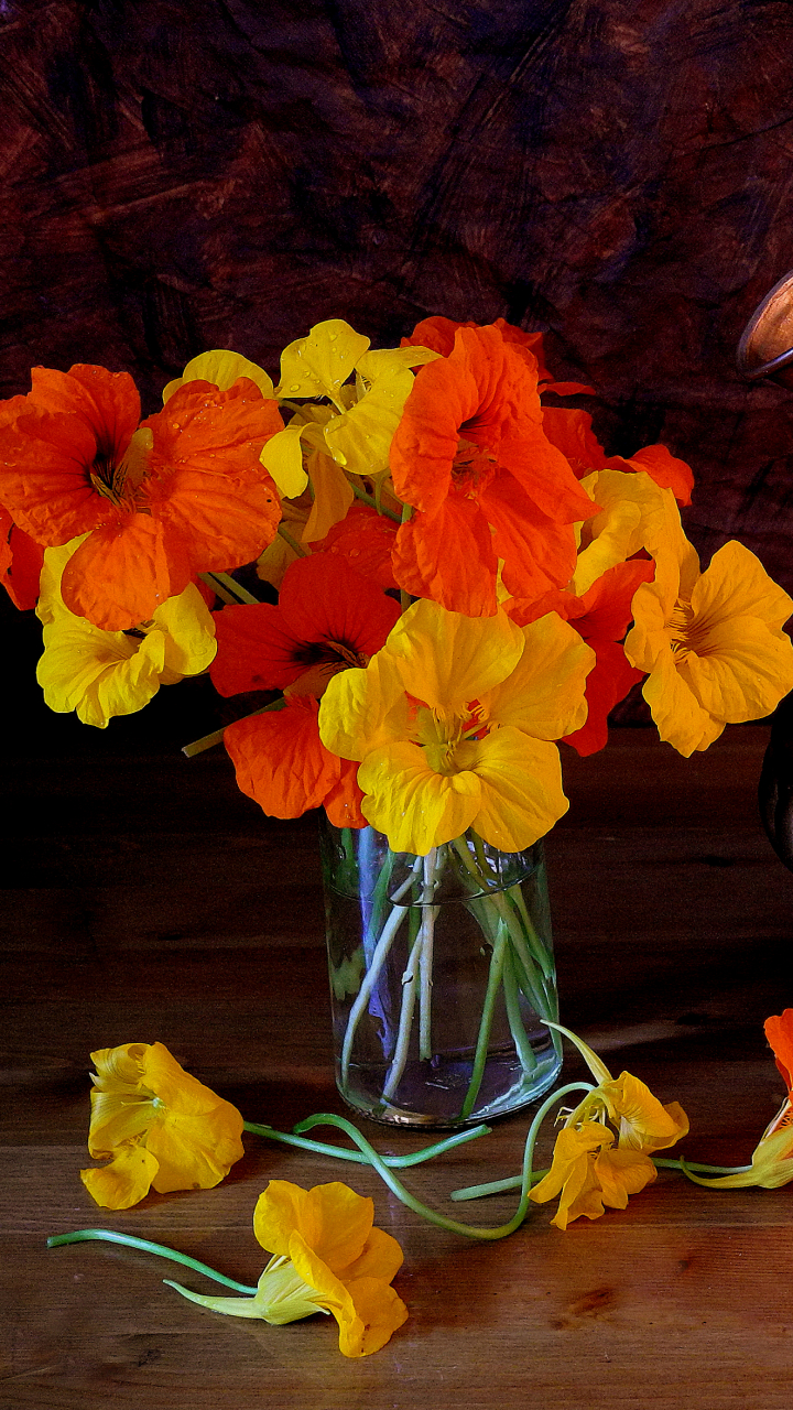 photography, still life, pitcher, flower, orange flower, yellow flower, bronze