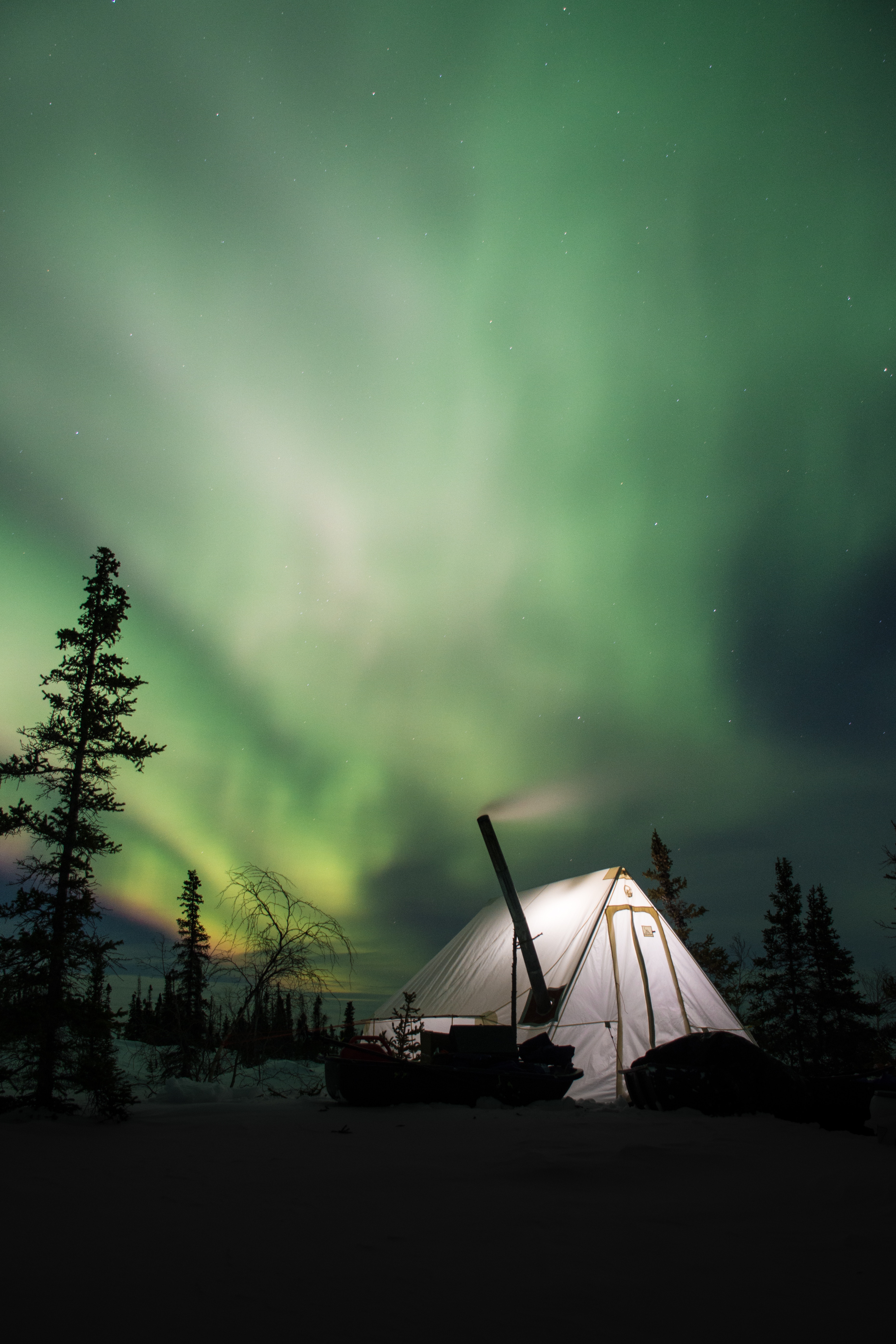 aurora borealis, aurora, tent, nature, night, northern lights, camping, campsite HD wallpaper