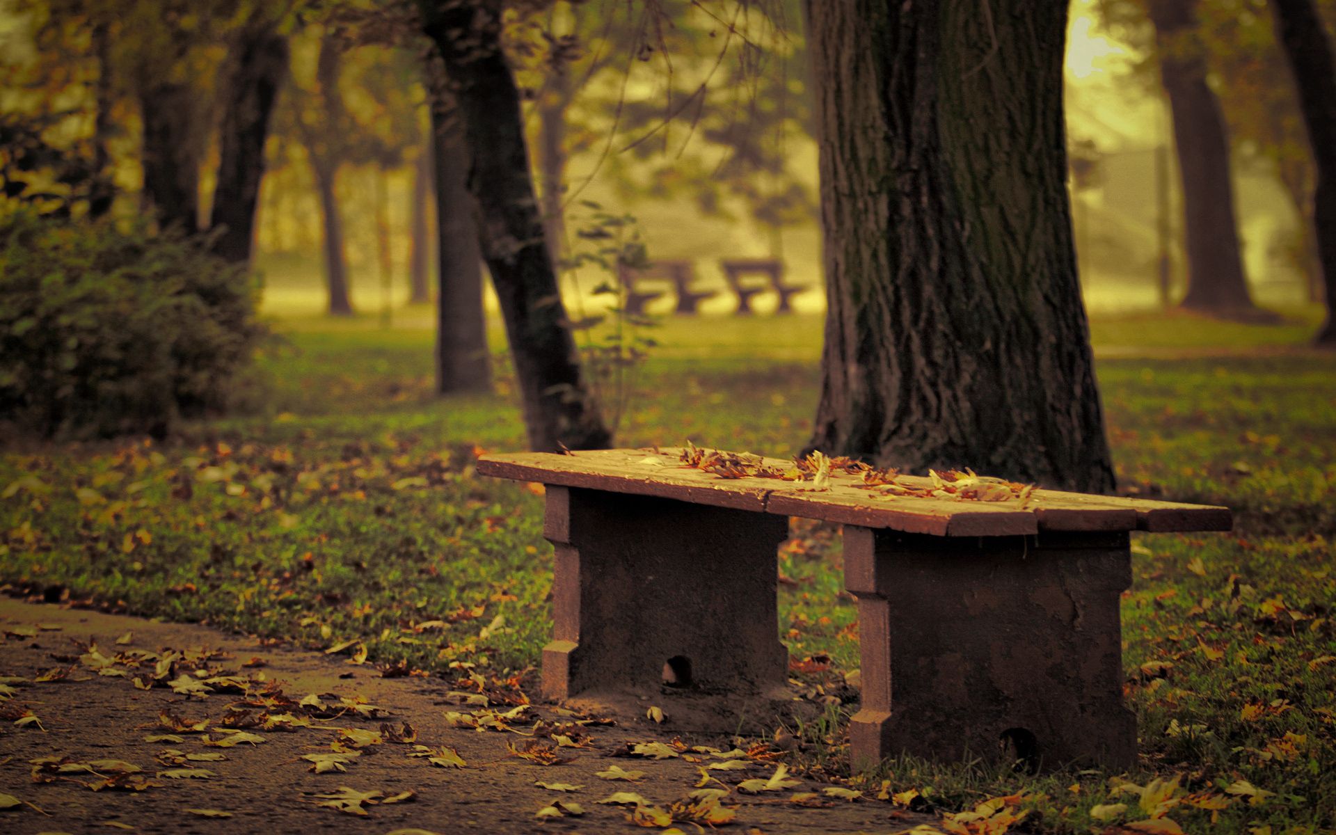 Free download wallpaper Trees, Nature, Park, Leaves, Bench, Loneliness, Autumn on your PC desktop