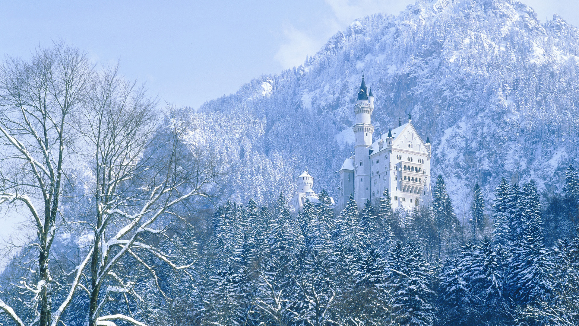 Laden Sie das Winter, Schnee, Schlösser, Gebäude, Wald, Baum, Gebirge, Deutschland, Schloss Neuschwanstein, Menschengemacht, Schloss-Bild kostenlos auf Ihren PC-Desktop herunter