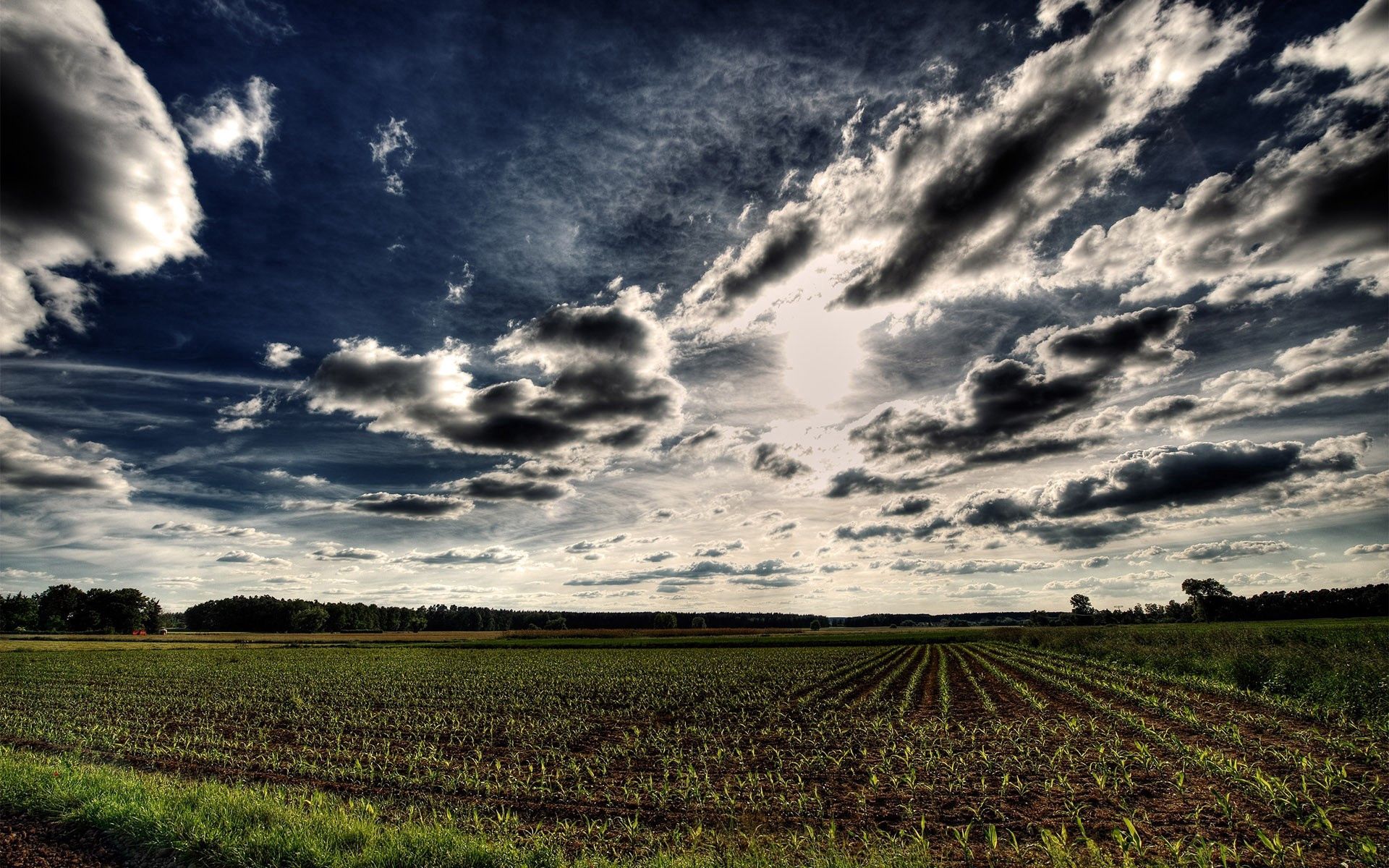 clouds, nature, sky, field, hdr, rows, ranks, arable land