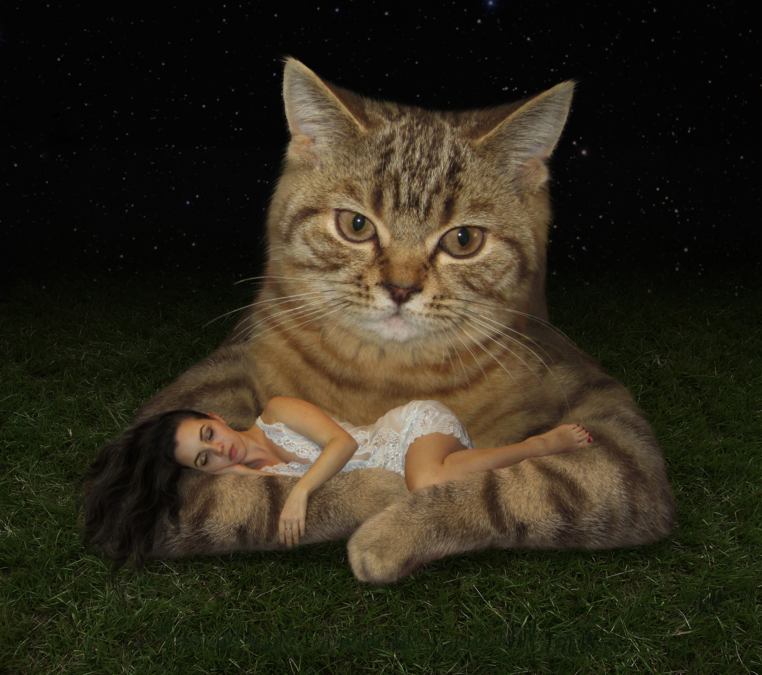 Free download wallpaper Cat, Photoshop, Photography, Giant, Manipulation on your PC desktop