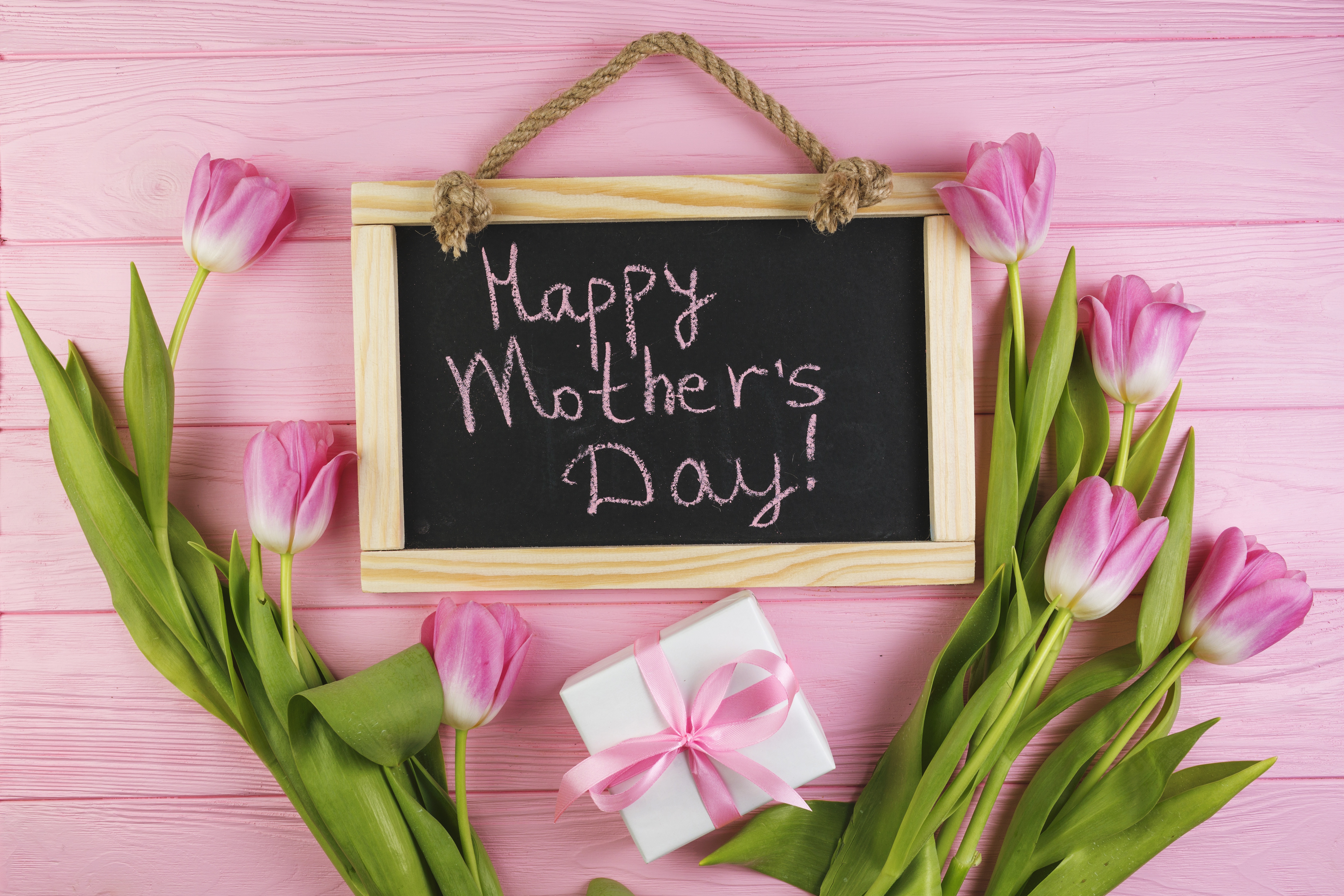 885665 скачать картинку праздничные, день матери, цветок, подарки, розовый цветок, тюльпан - обои и заставки бесплатно