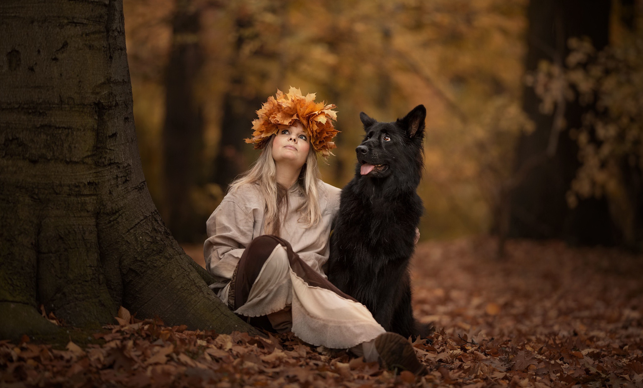 Laden Sie das Herbst, Hund, Schäferhund, Stimmung, Frauen-Bild kostenlos auf Ihren PC-Desktop herunter