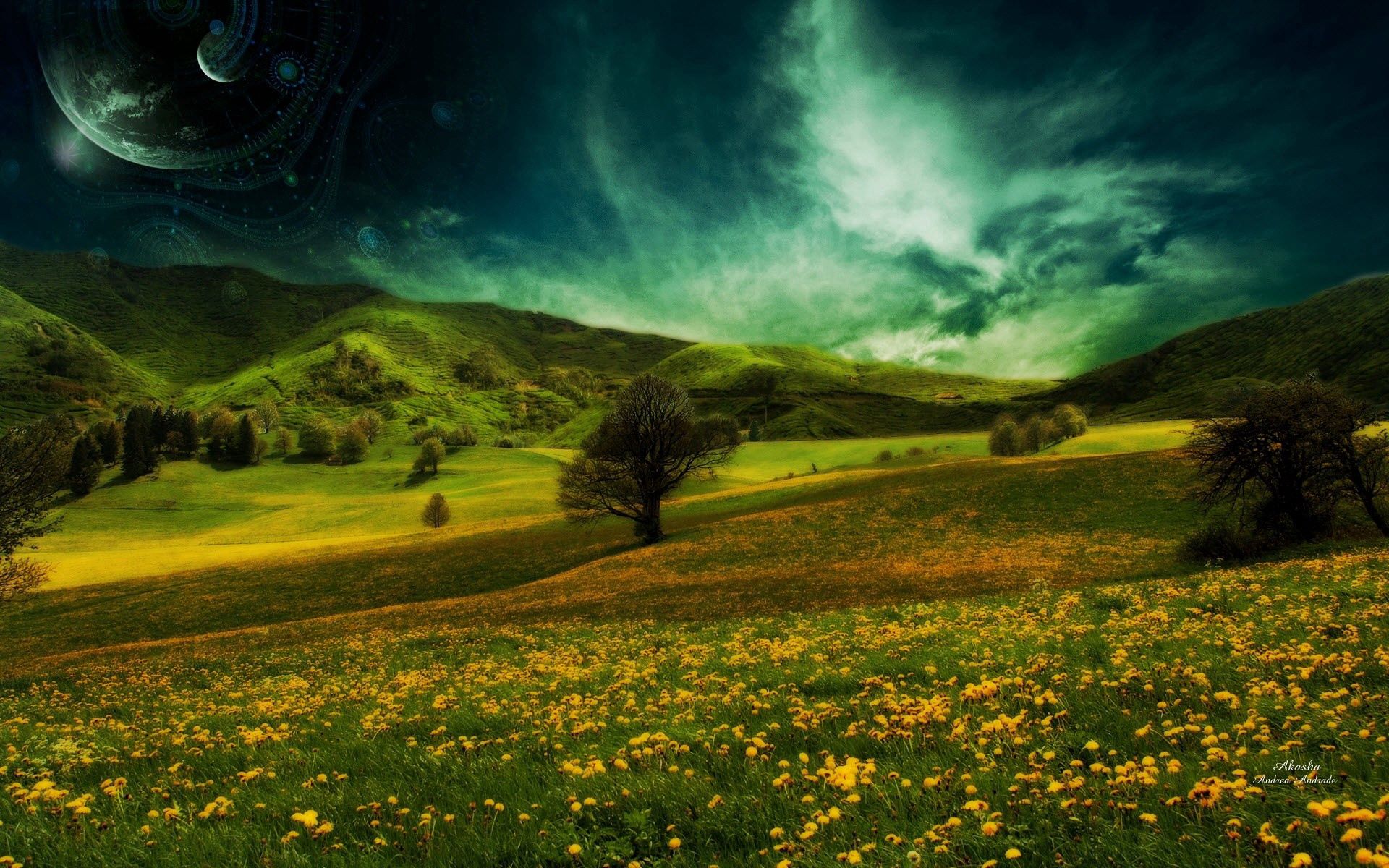 114267 Hintergrundbild herunterladen abstrakt, natur, grass, sky, sommer, polyana, glade - Bildschirmschoner und Bilder kostenlos