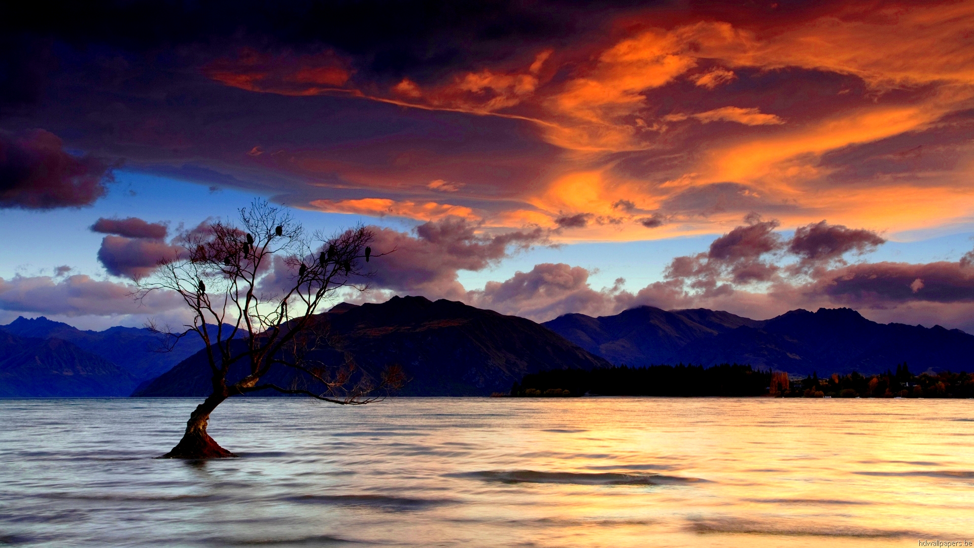 Laden Sie das Landschaft, Erde/natur-Bild kostenlos auf Ihren PC-Desktop herunter