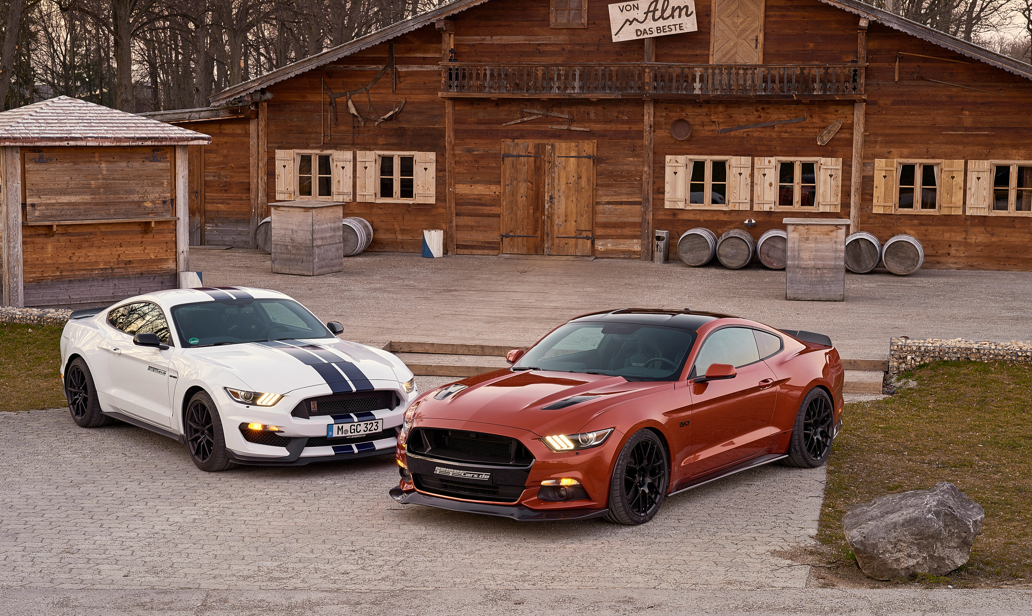 muscle car, orange car, white car, ford mustang, vehicles, car, ford