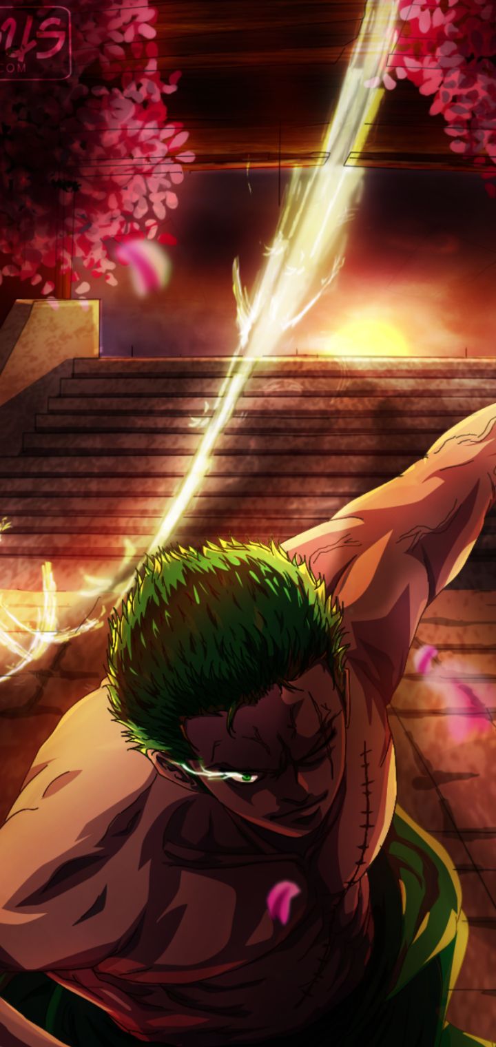 Download mobile wallpaper Anime, One Piece, Roronoa Zoro for free.