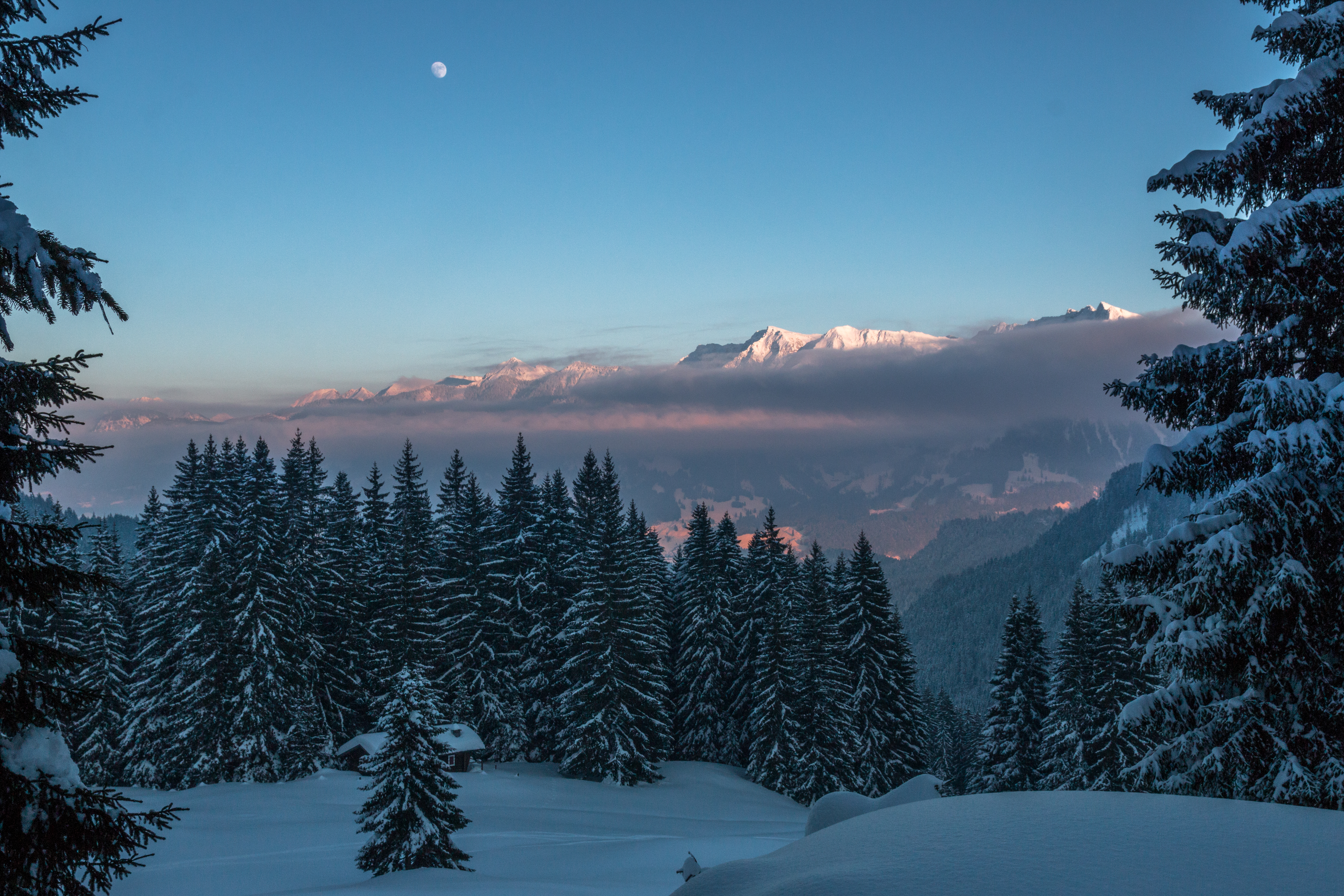 PCデスクトップに薄明, 雪, 夕暮れ, 冬, 山脈, 木, 自然画像を無料でダウンロード