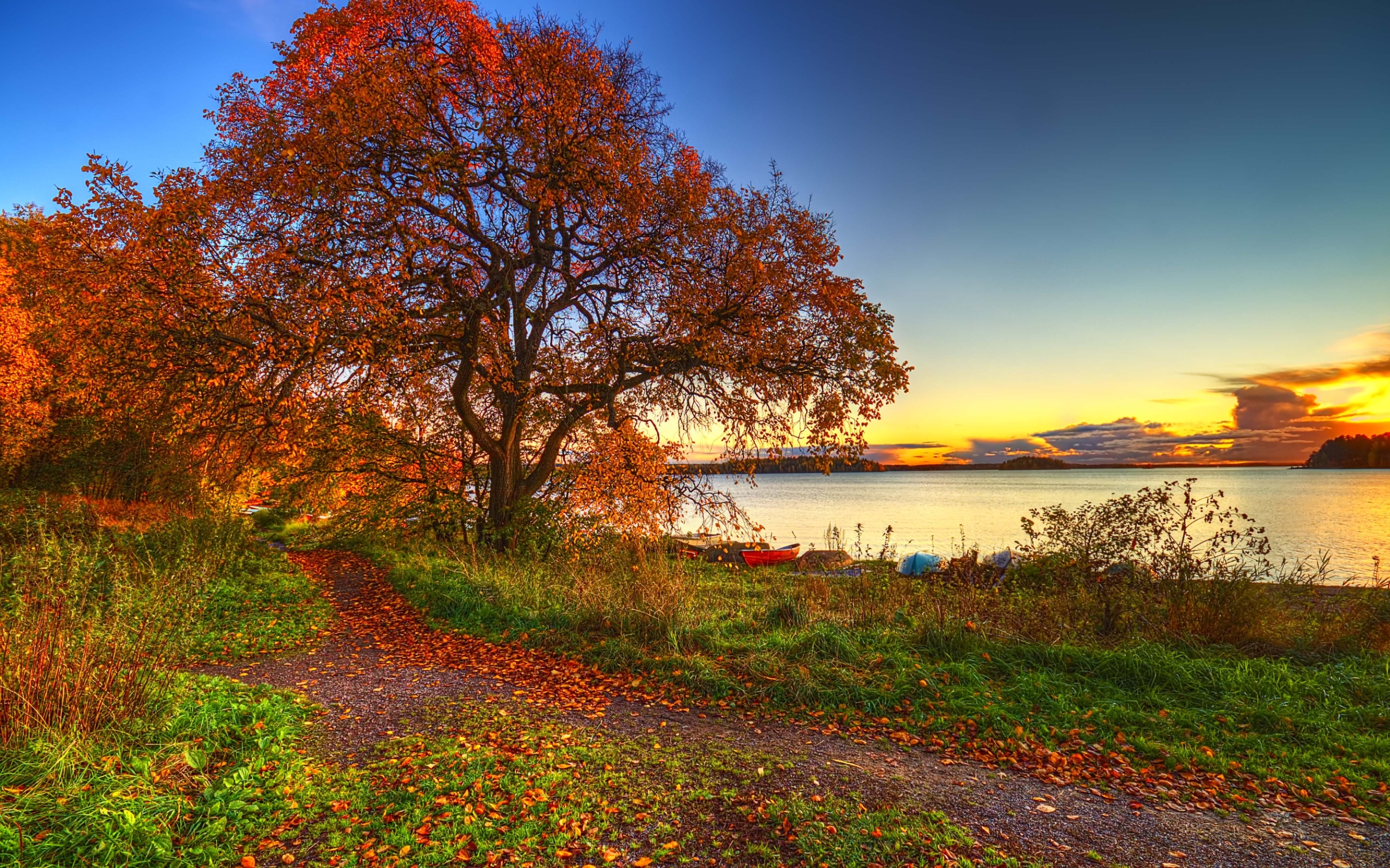 無料モバイル壁紙木, 風景, 秋をダウンロードします。