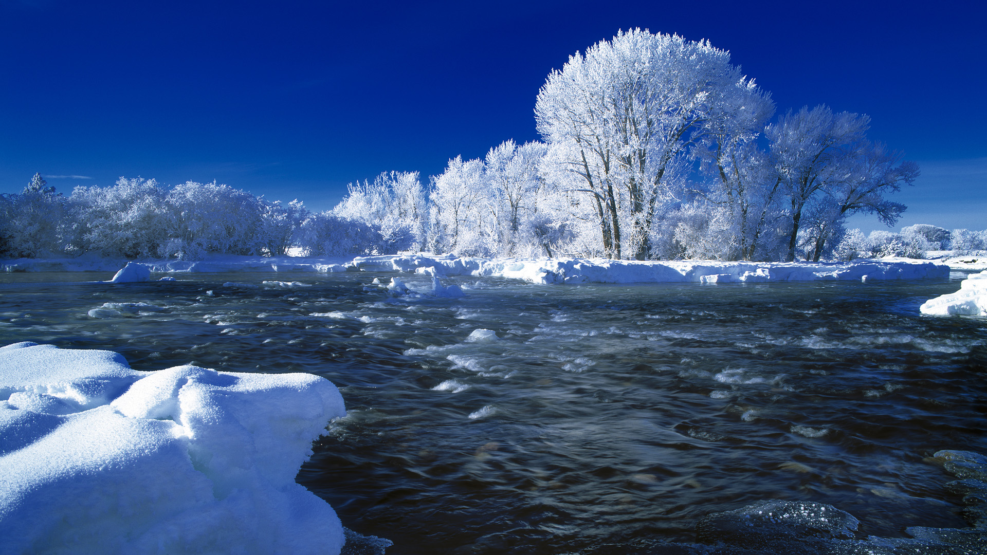 Скачать картинку Зима, Река, Снег, Дерево, Земля/природа в телефон бесплатно.