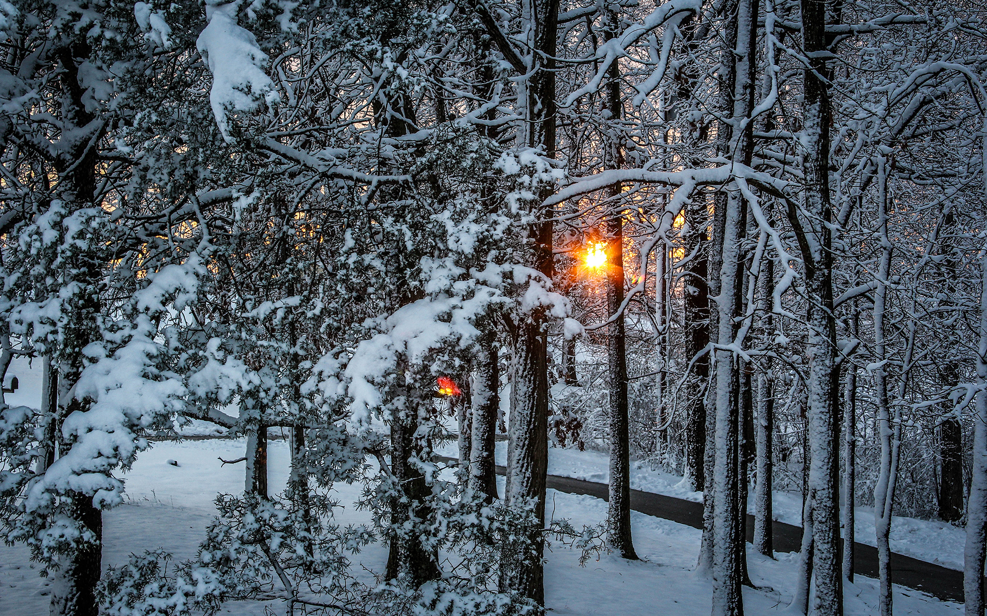 Baixe gratuitamente a imagem Inverno, Pôr Do Sol, Sol, Neve, Floresta, Terra/natureza na área de trabalho do seu PC
