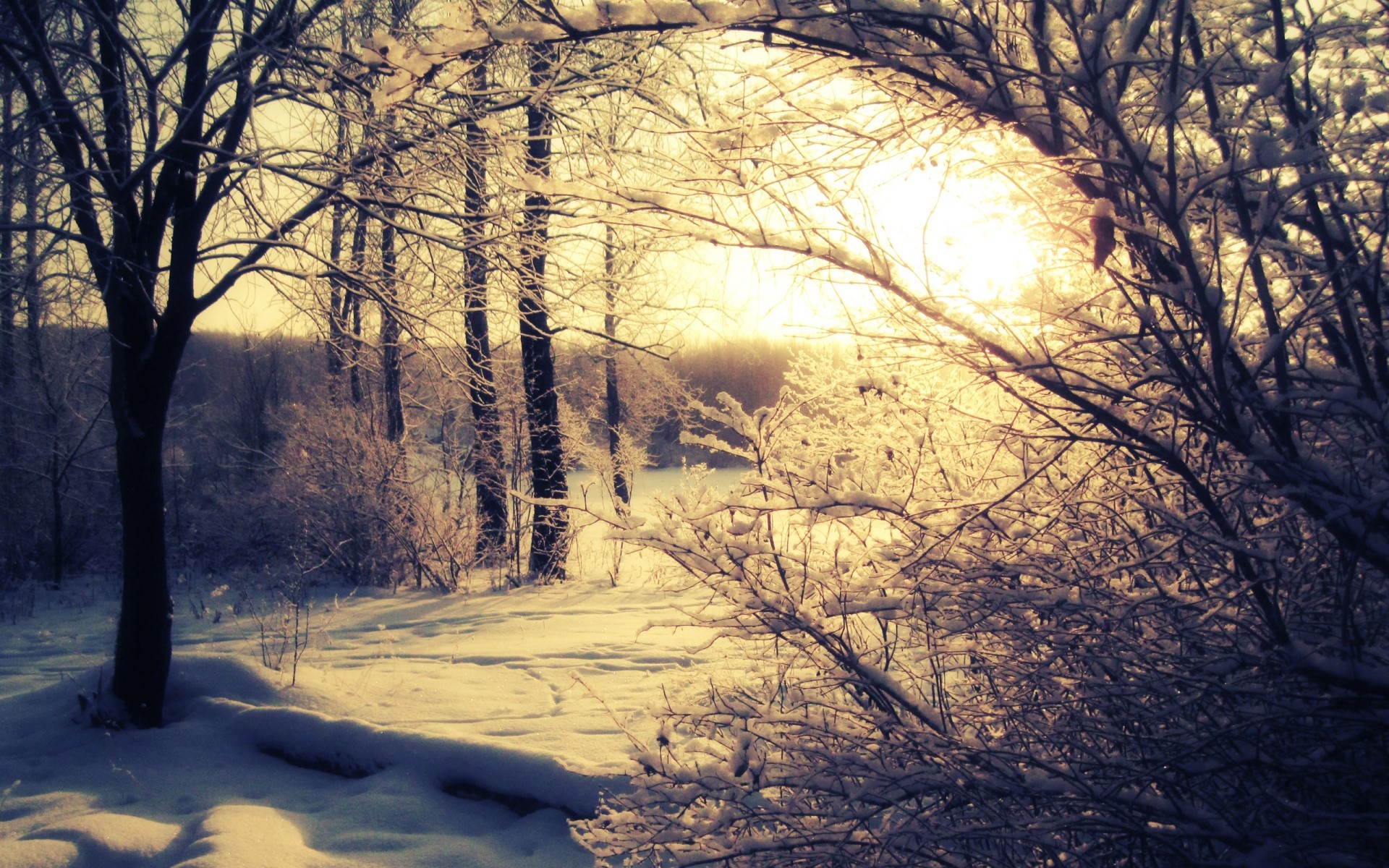 Download mobile wallpaper Winter, Snow, Sunset, Landscape, Trees for free.