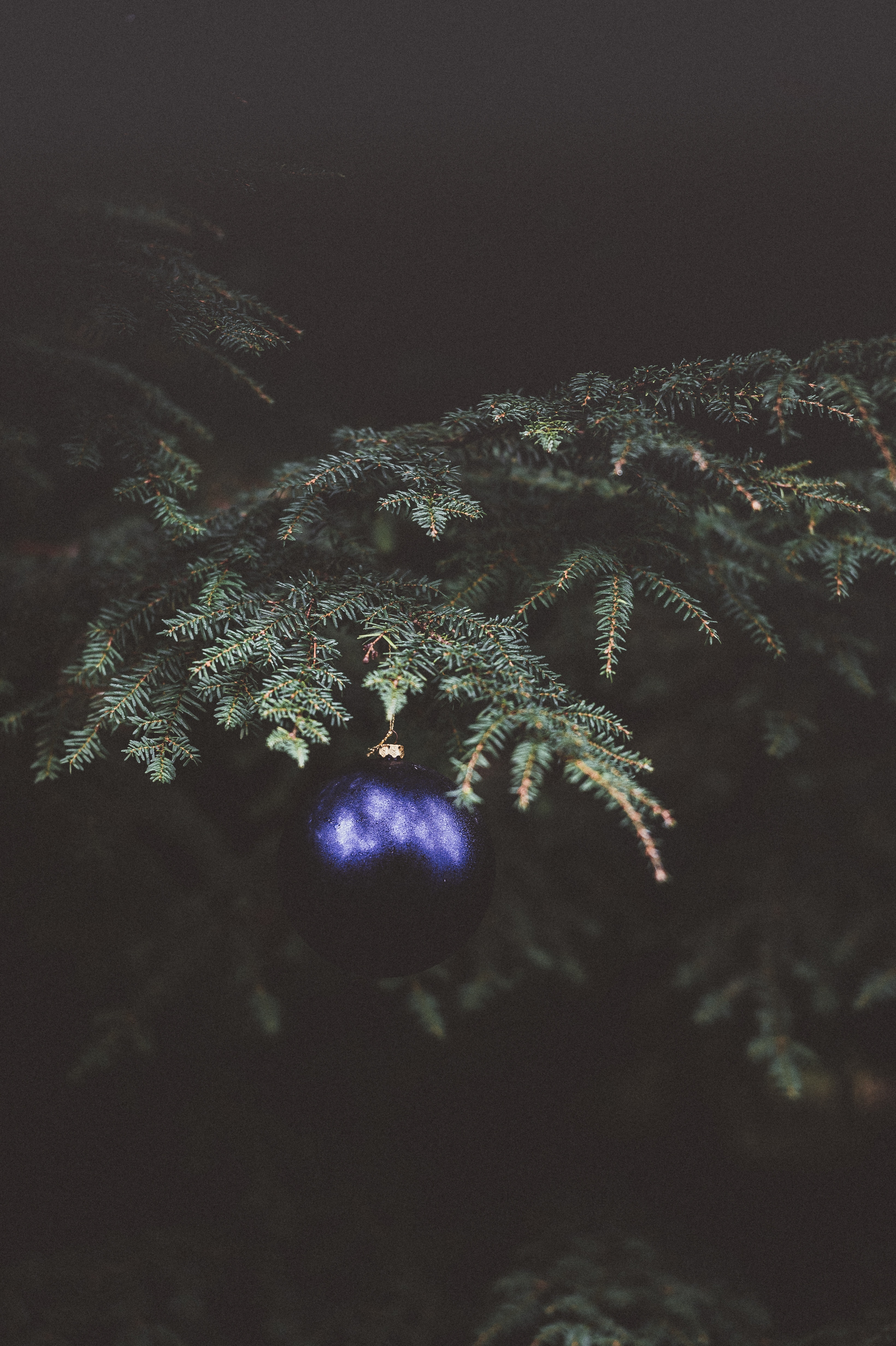 holidays, dark, branch, spruce, fir, christmas tree toy