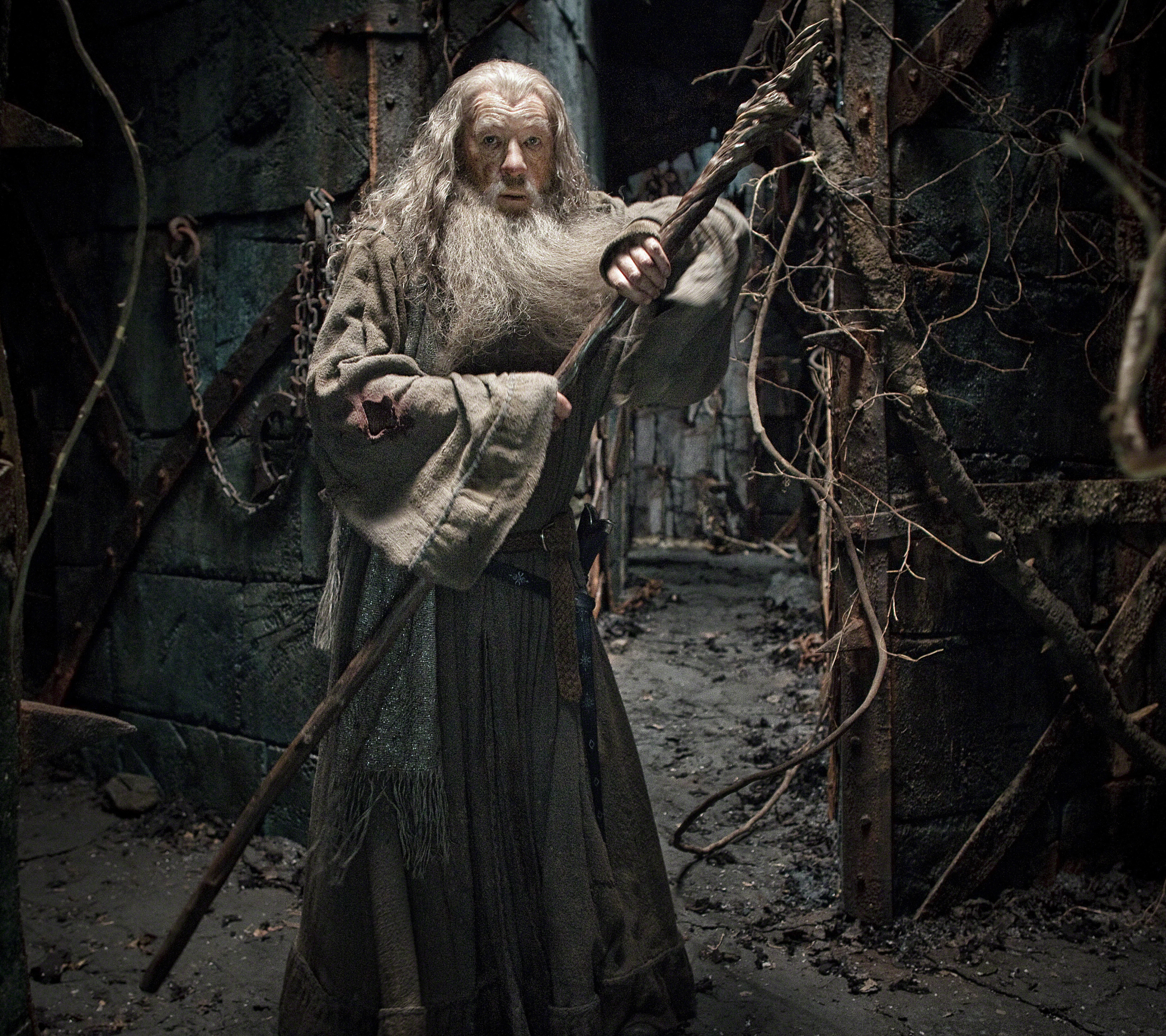 Téléchargez des papiers peints mobile Le Seigneur Des Anneaux, Film, Gandalf, Ian Mckellen, Le Hobbit : La Désolation De Smaug gratuitement.