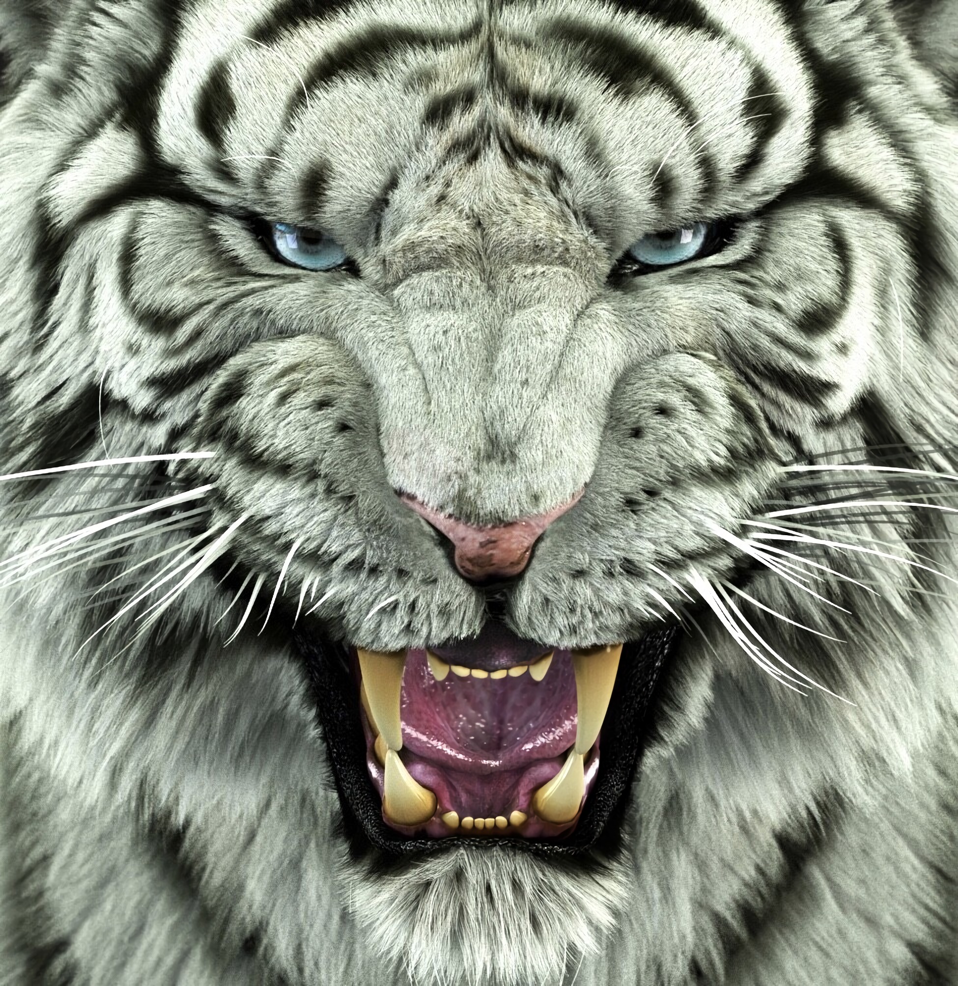 62495 descargar fondo de pantalla tigre de bengala, depredador, gato grande, animales, tigre: protectores de pantalla e imágenes gratis
