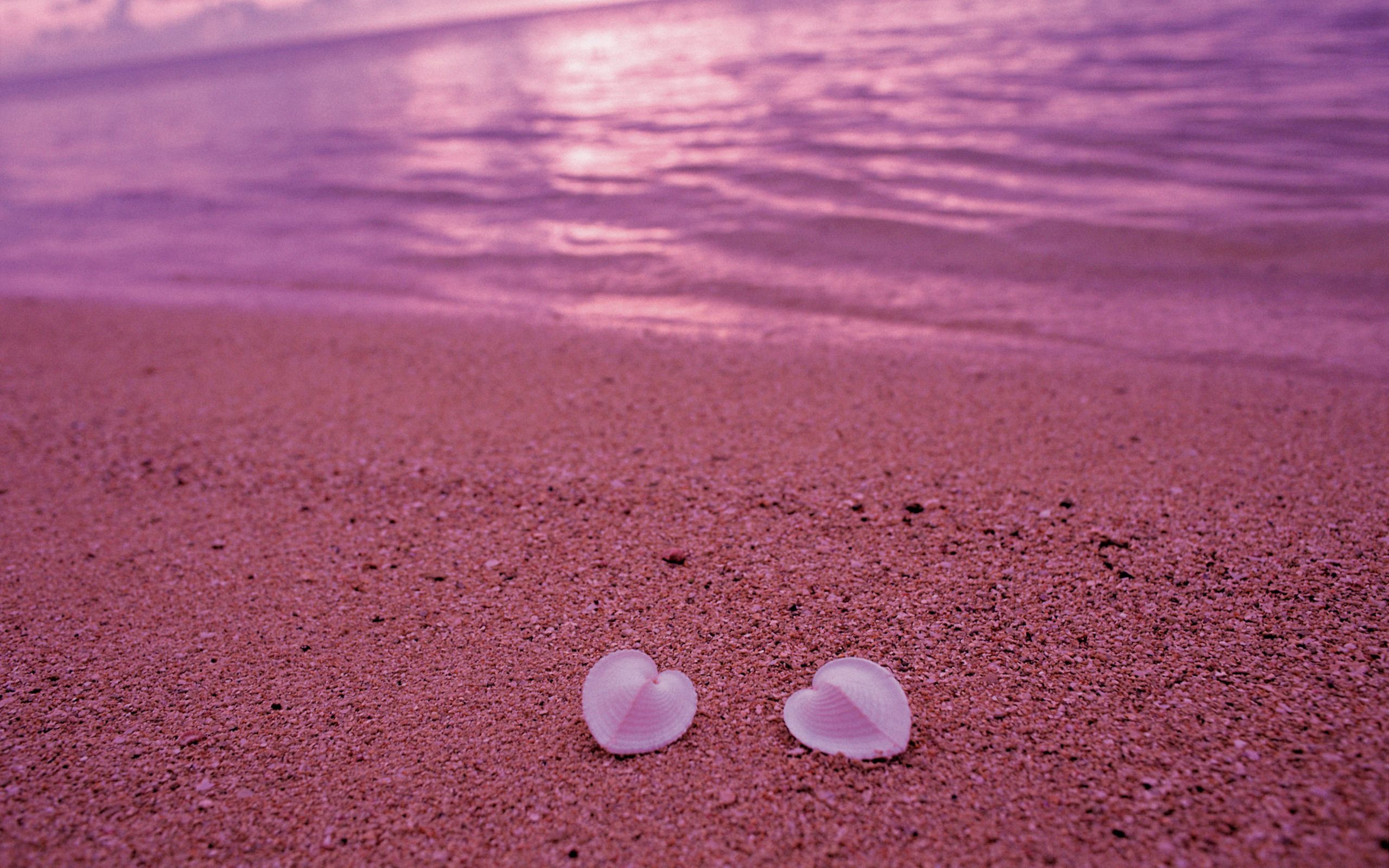 86850 скачать обои ракушки, розовый, пляж, песок, берег, разное, сердце - заставки и картинки бесплатно