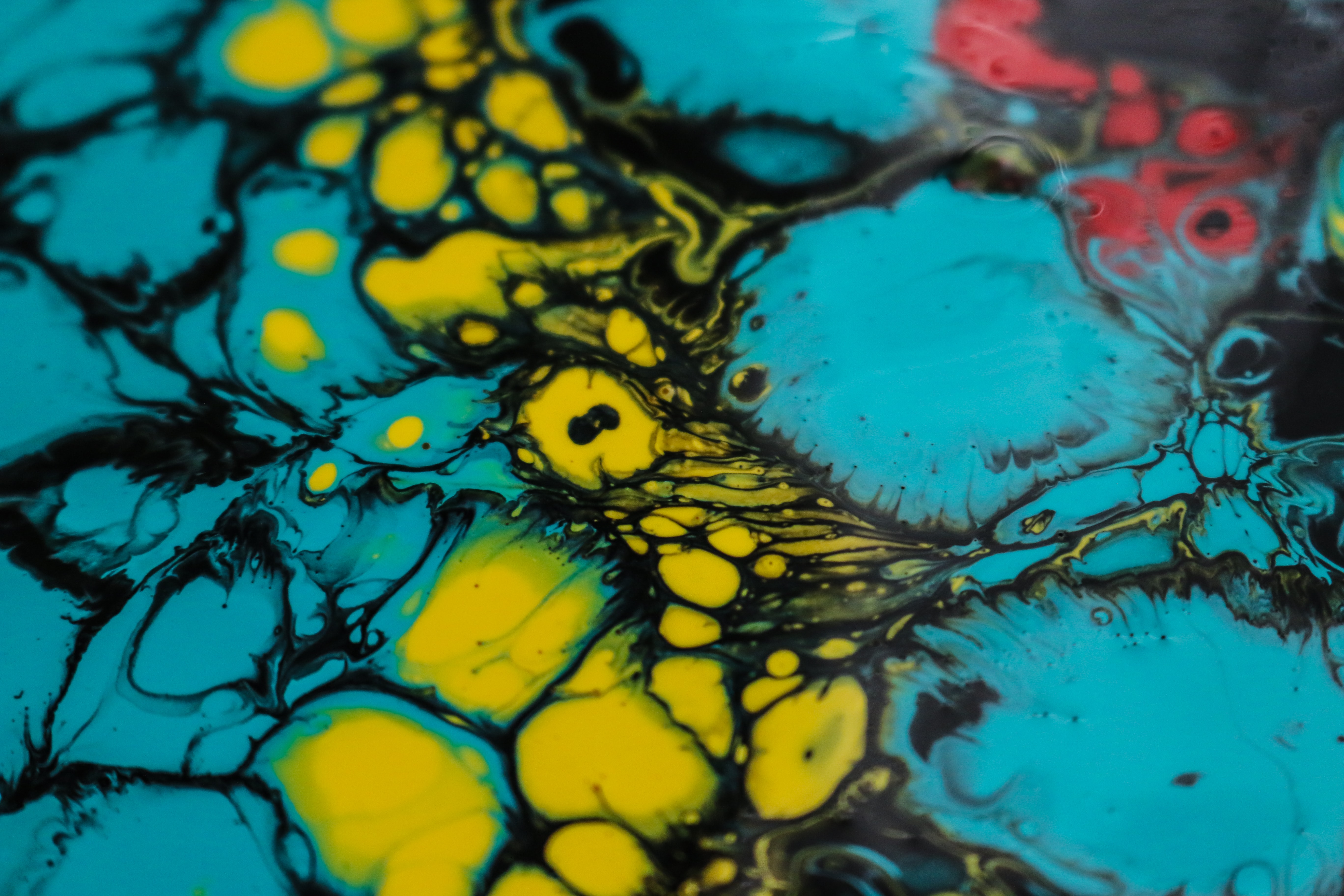 fluid art, stains, paints, abstract, divorces, spots, acrylic HD wallpaper
