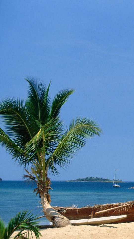 Download mobile wallpaper Beach, Photography, Palm Tree for free.