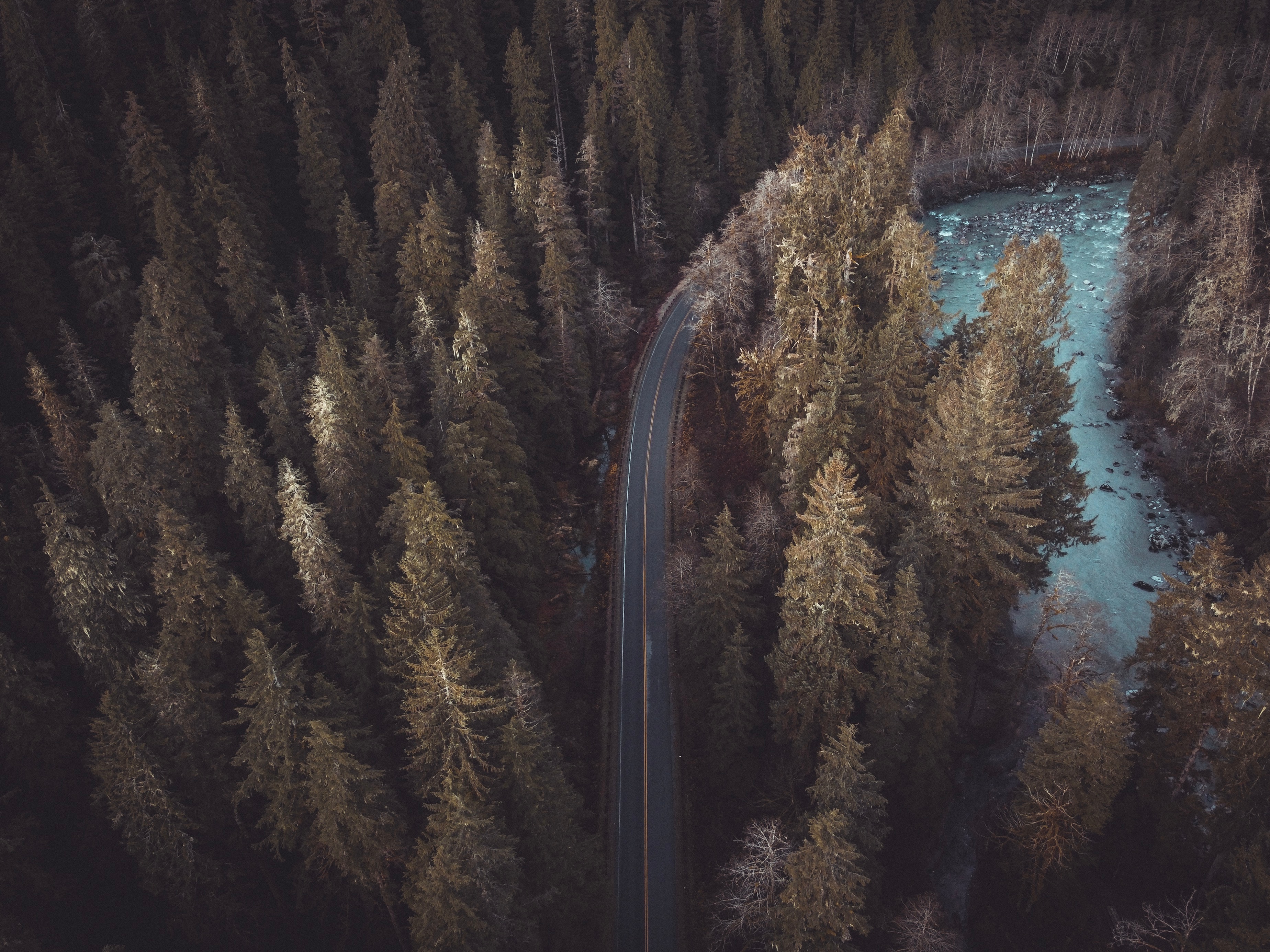 Free download wallpaper Nature, Trees, Pine, Top, Road, View From Above, Forest, Tops on your PC desktop