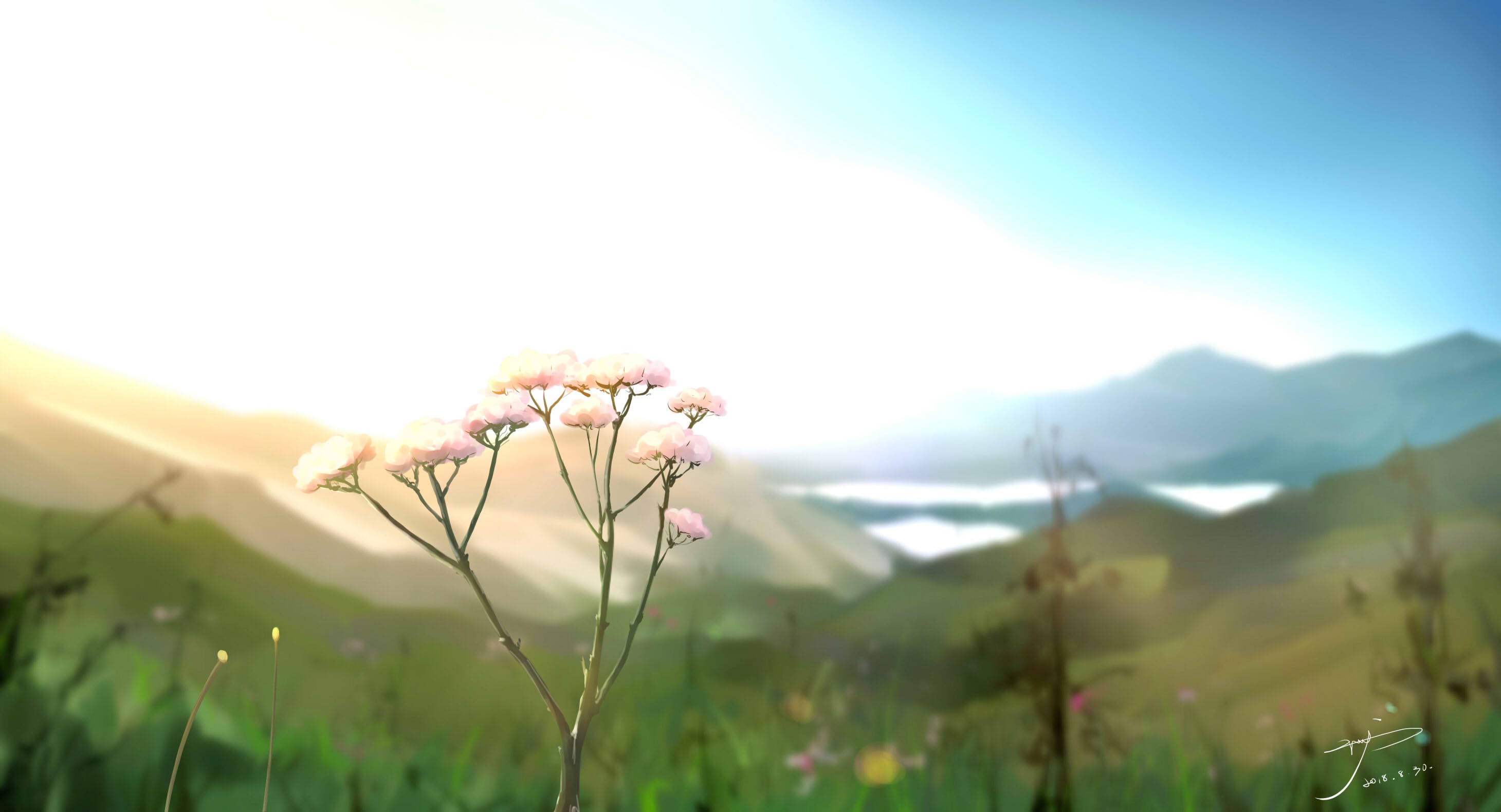 Free download wallpaper Anime, Nature, Sky, Mountain, Flower, Forest, Sunrise, Scenery on your PC desktop