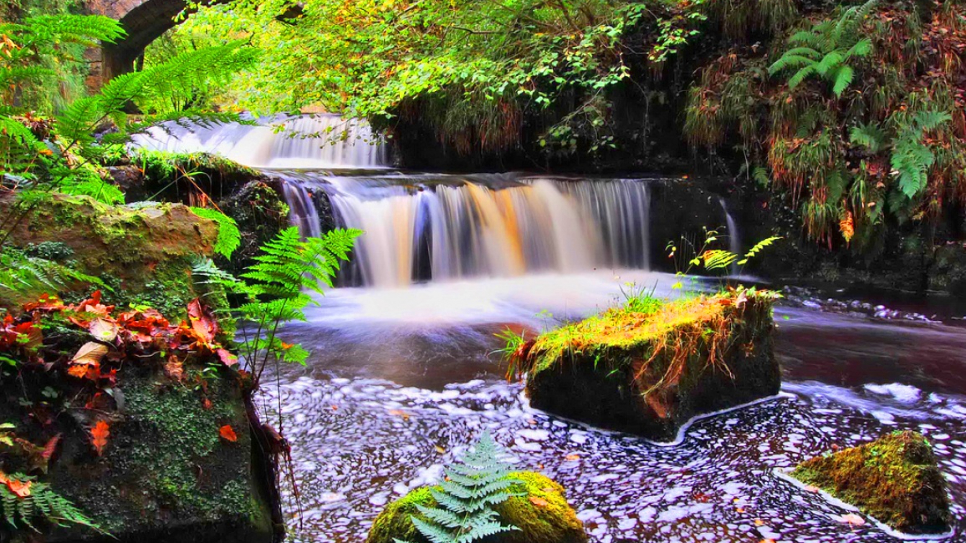 Free download wallpaper Nature, Waterfalls, Plant, Waterfall, Earth, Colorful on your PC desktop