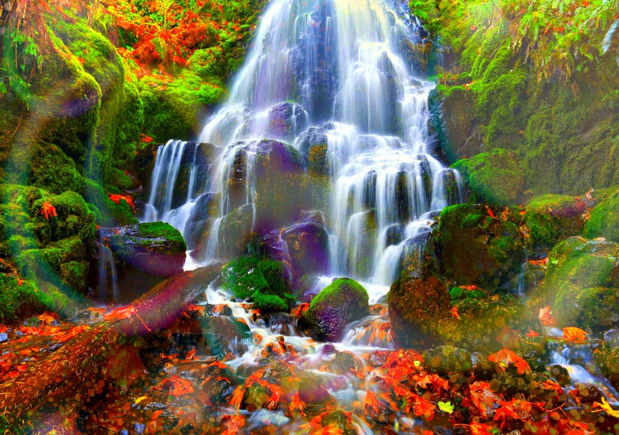 Скачать картинку Осень, Водопады, Водопад, Лес, Дерево, Листва, Земля/природа в телефон бесплатно.
