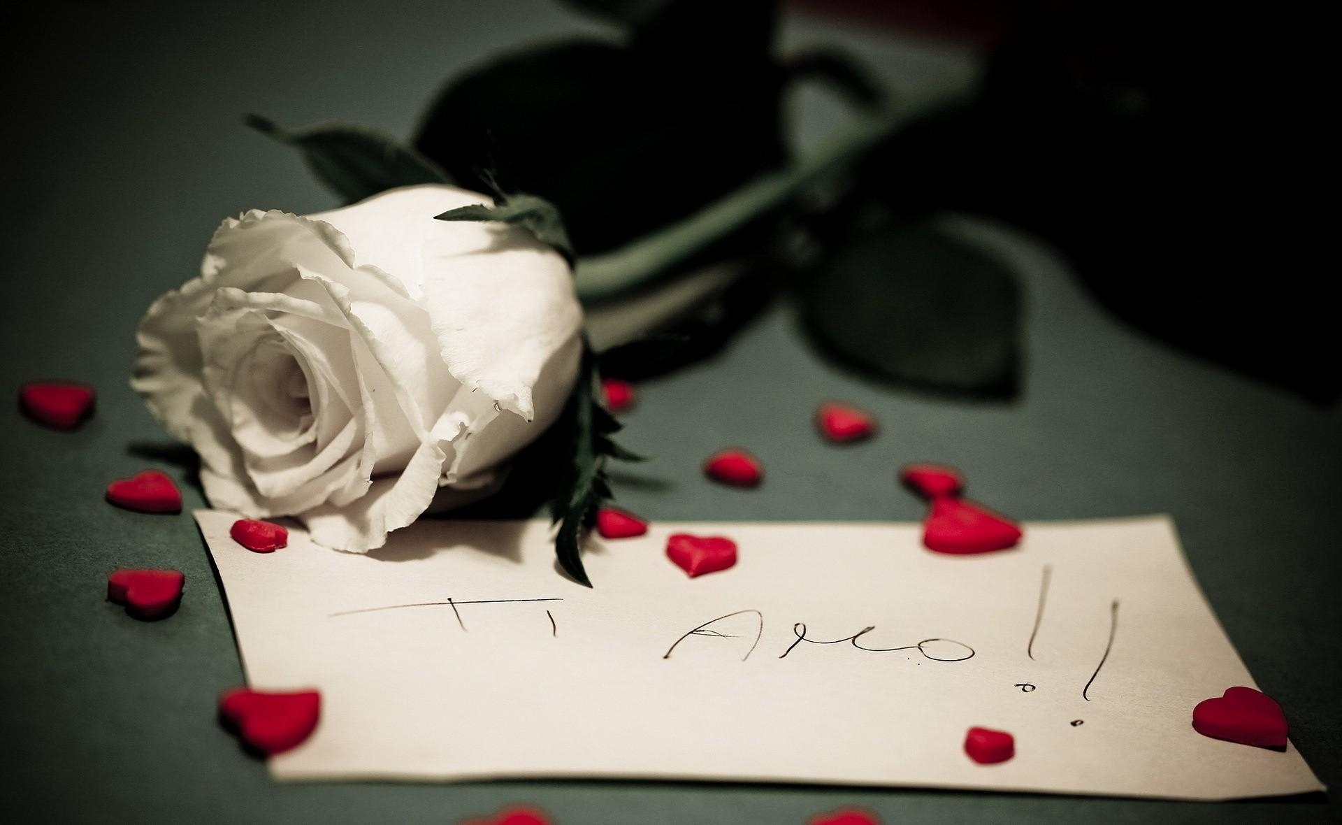 127041 завантажити шпалери квіти, серця, роза, троянда, романтика, записка, примітка, сердечка - заставки і картинки безкоштовно