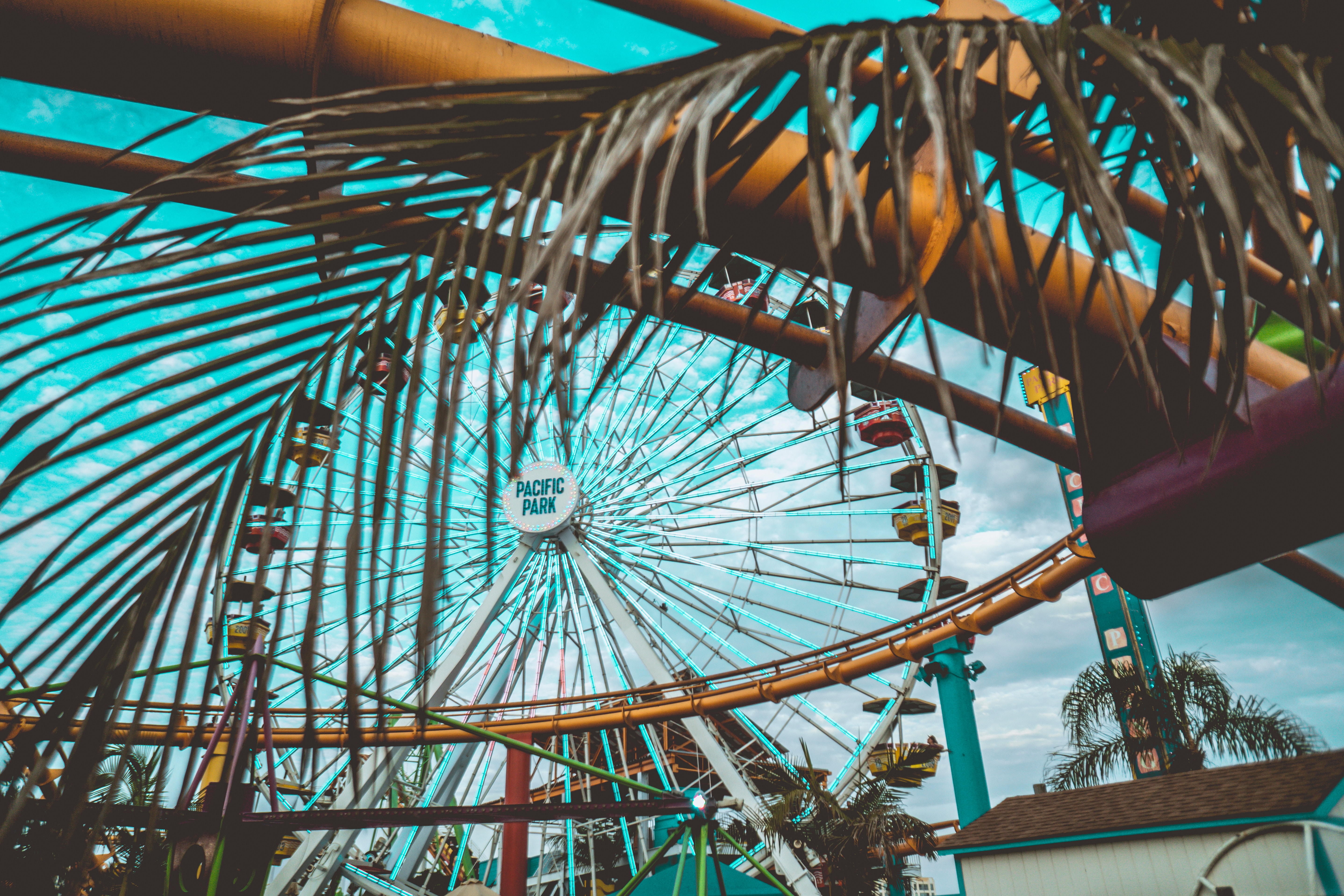 cities, leaves, palm, ferris wheel, attraction