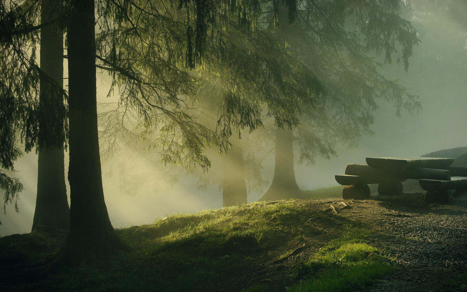 Téléchargez gratuitement l'image Forêt, Brouillard, Terre/nature sur le bureau de votre PC