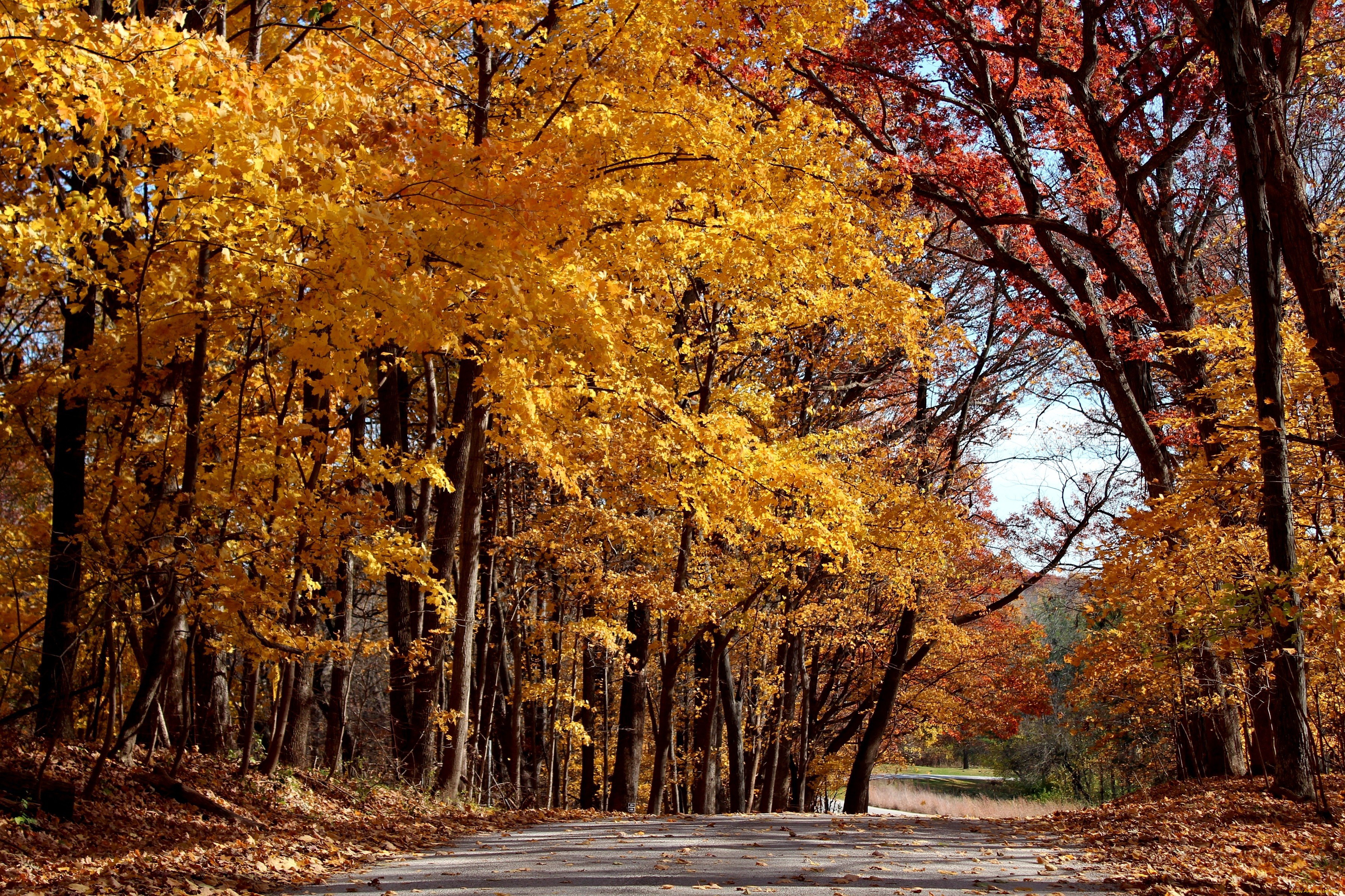 Téléchargez gratuitement l'image Automne, Photographie sur le bureau de votre PC