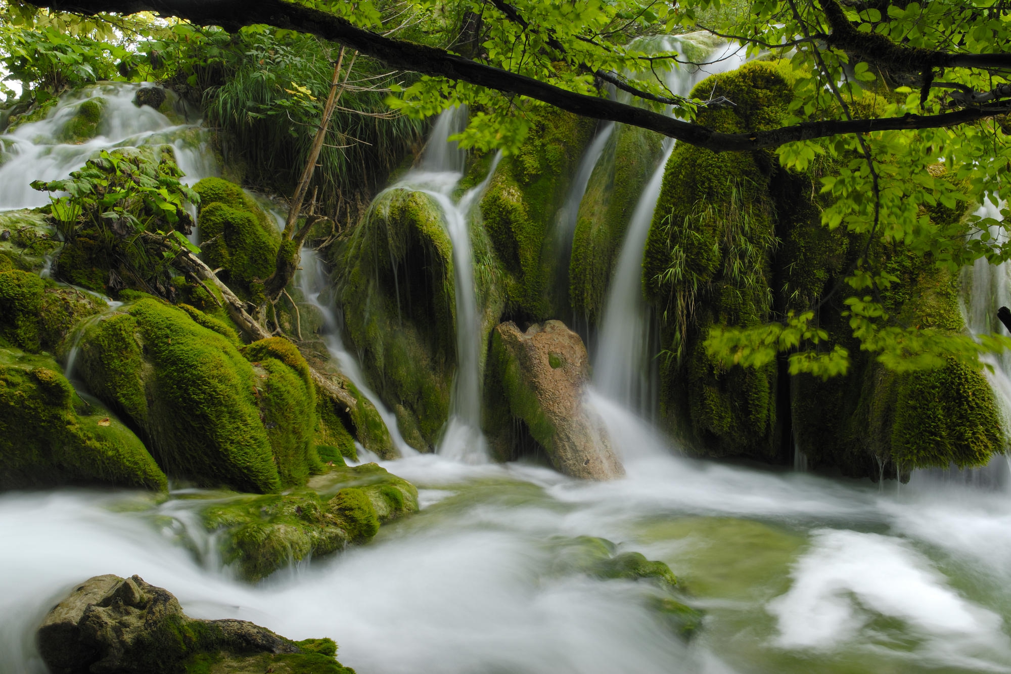 Скачать картинку Водопады, Водопад, Зеленый, Мох, Земля/природа в телефон бесплатно.