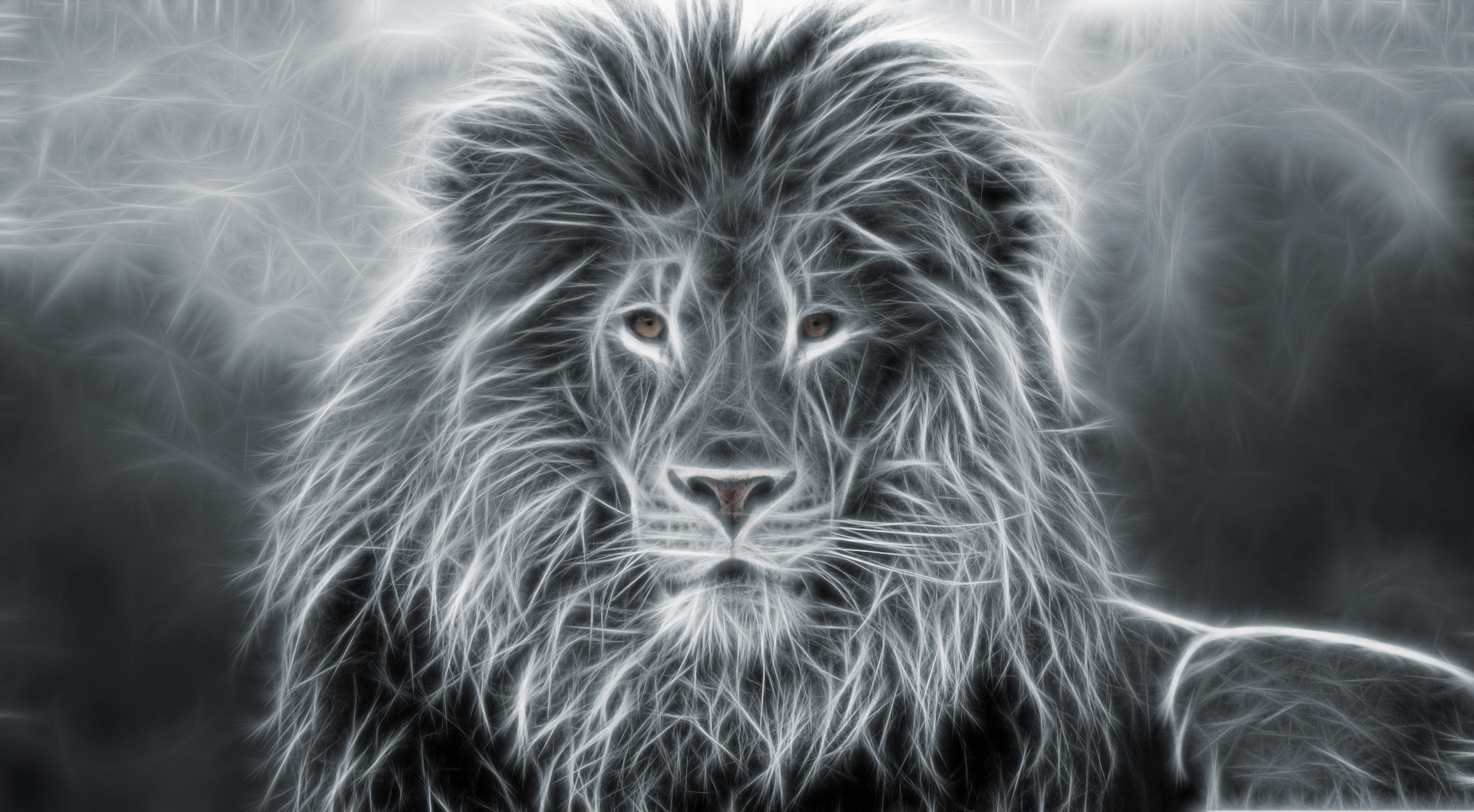 Free download wallpaper Lion, Cats, Animal on your PC desktop