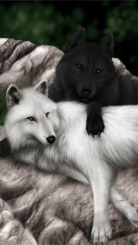 Descarga gratuita de fondo de pantalla para móvil de Animales, Amor, Lobo, Parejas, Wolves.