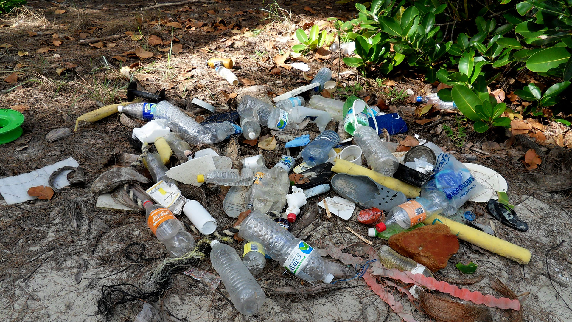 1502725壁紙のダウンロード映画, プラスチックの楽園: 太平洋の大きなゴミ地帯-スクリーンセーバーと写真を無料で