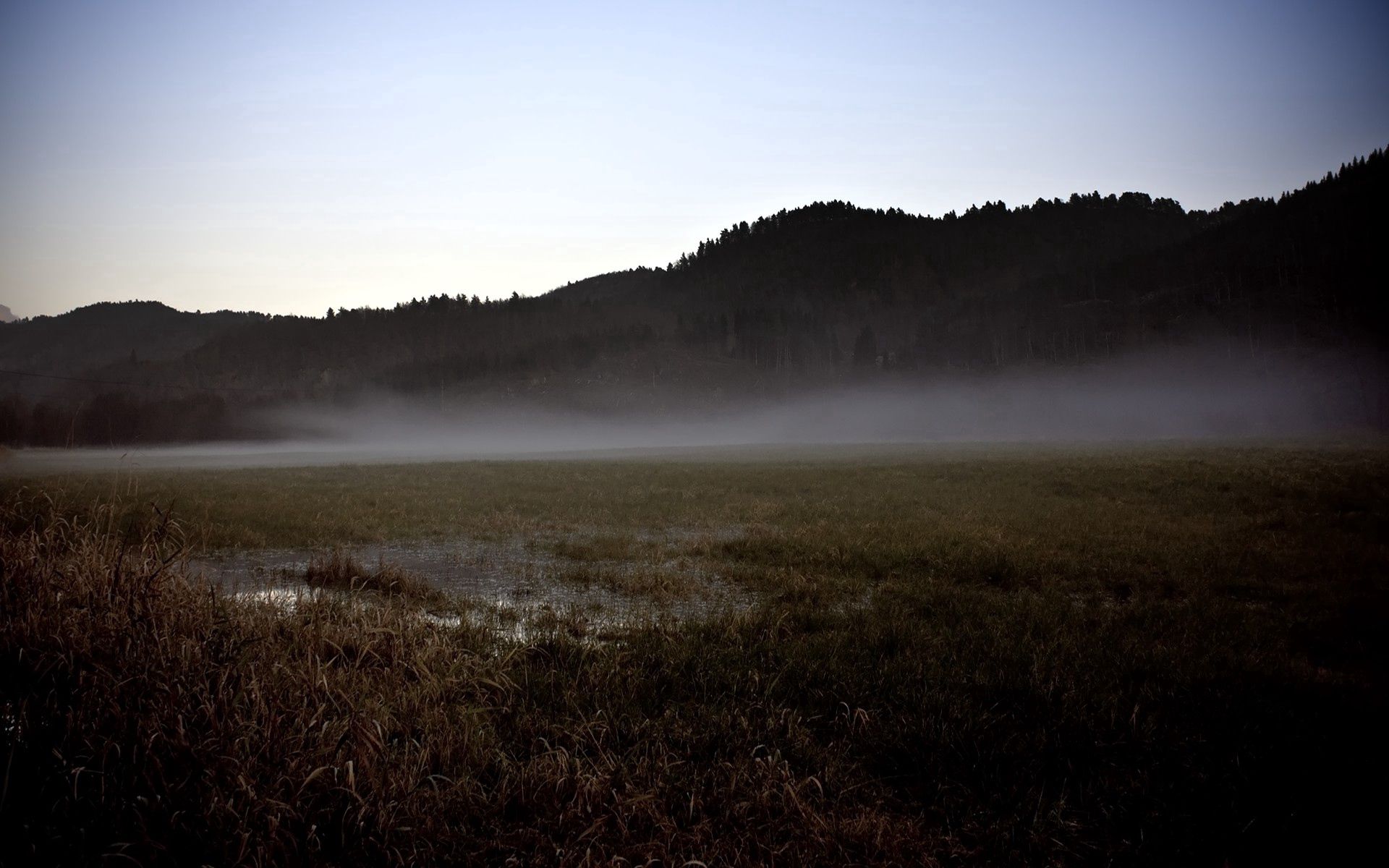 151069 скачать картинку болото, природа, туман, поле, серость - обои и заставки бесплатно