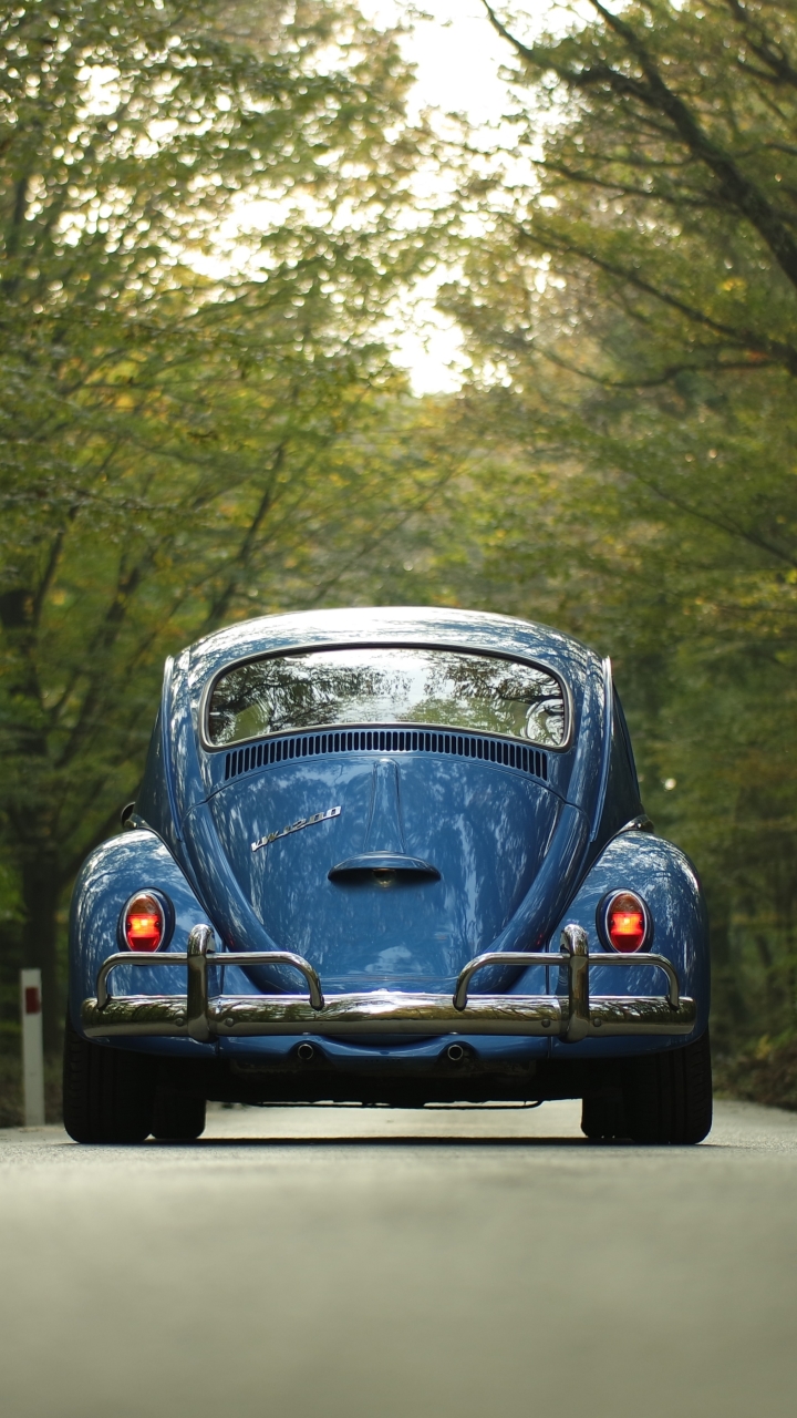 Download mobile wallpaper Volkswagen, Road, Car, Volkswagen Beetle, Vehicle, Vehicles for free.