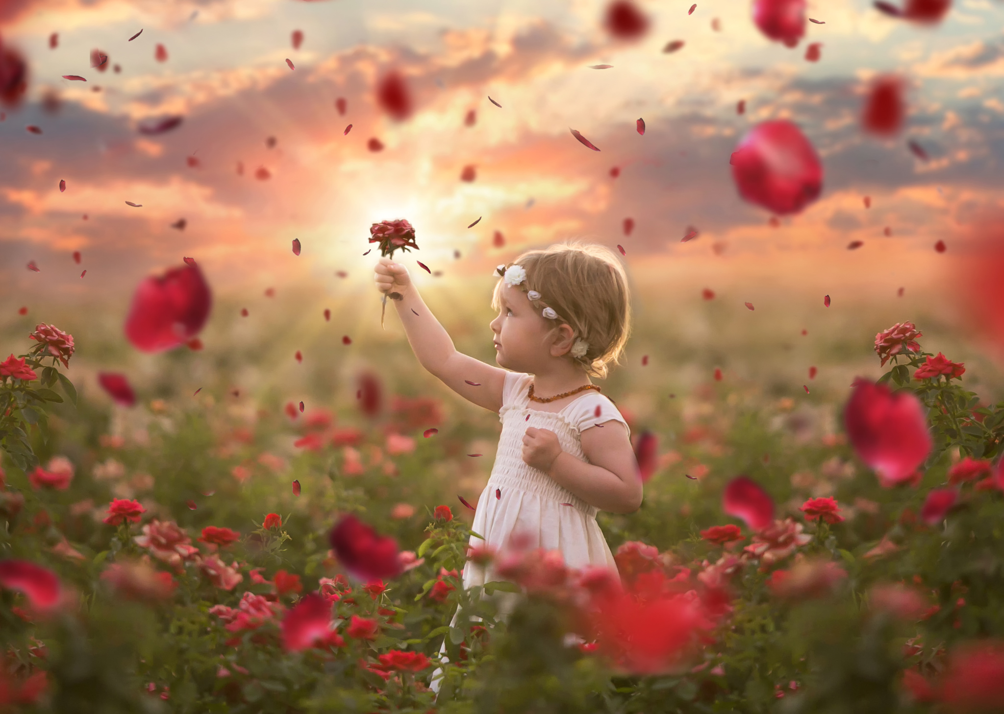 Free download wallpaper Flower, Rose, Child, Photography, Red Rose, Sunbeam on your PC desktop
