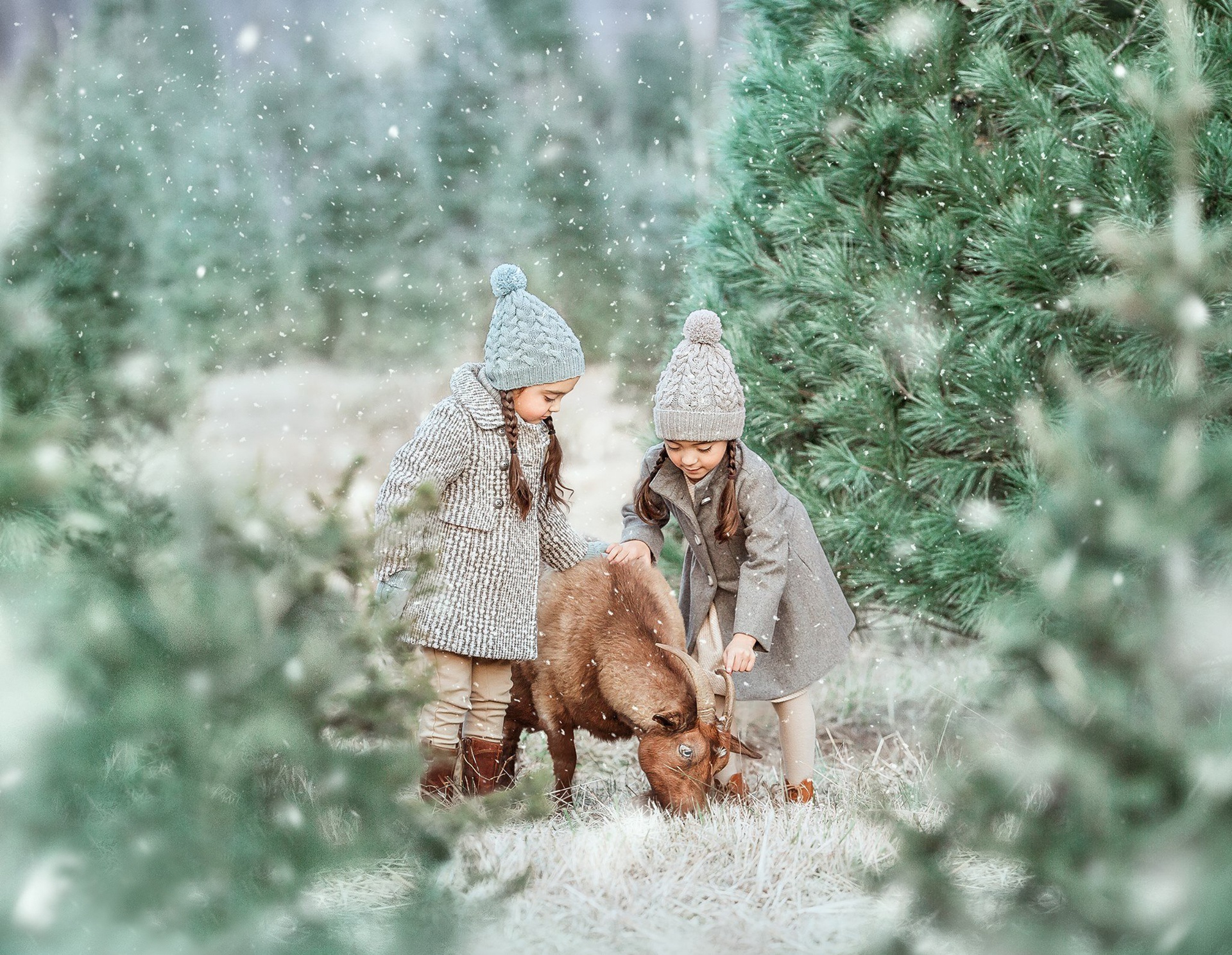Download mobile wallpaper Snow, Mood, Child, Photography, Goat for free.