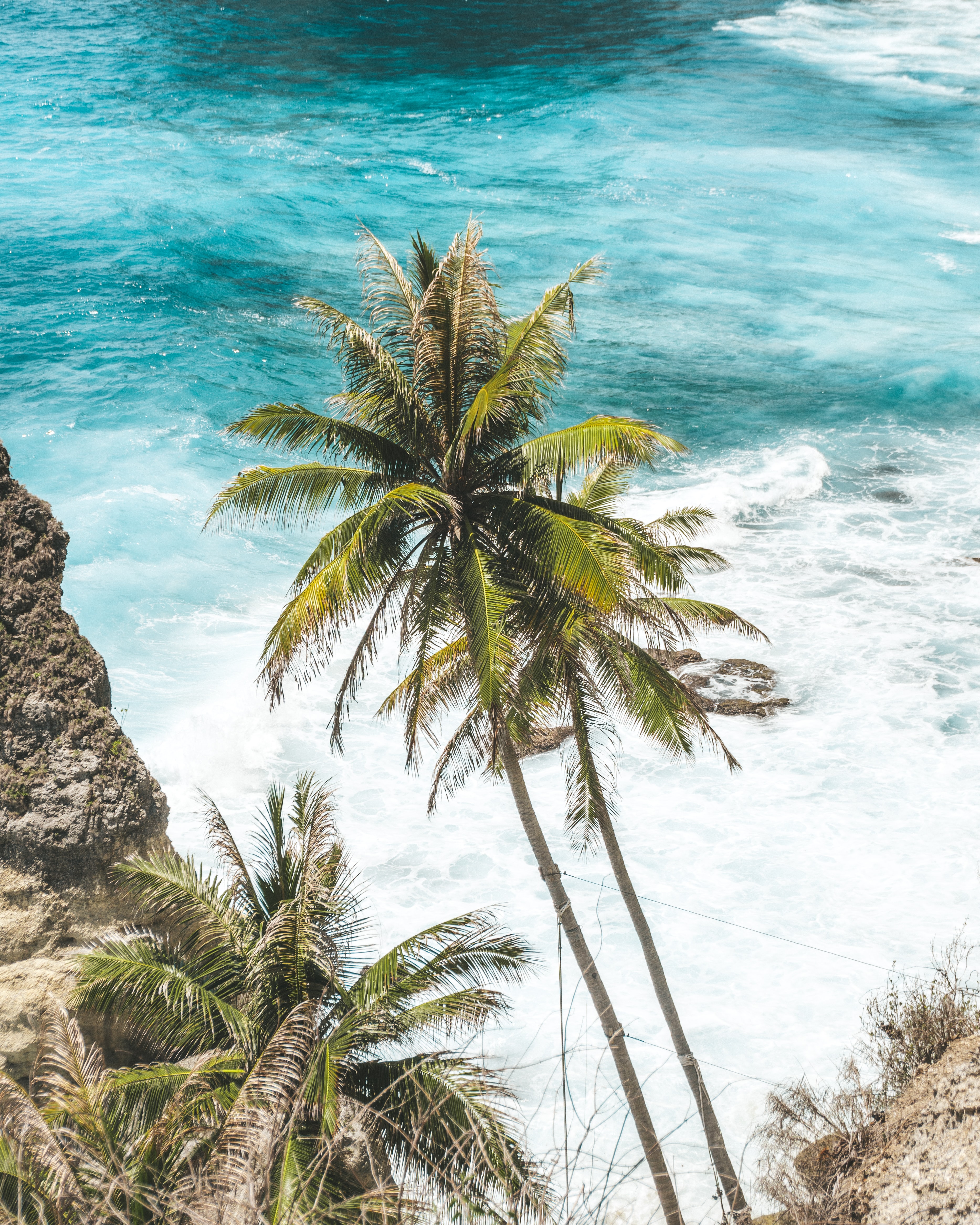 Download mobile wallpaper Waves, Sea, Nature, Tropics, Palms for free.